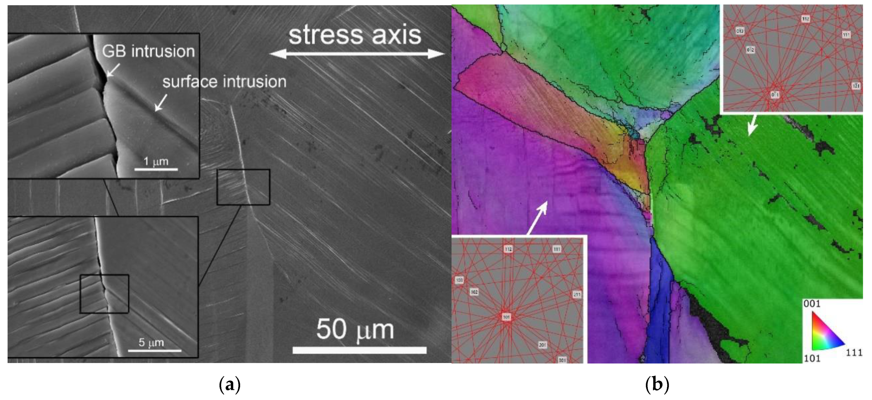 Crystals 13 00220 g019