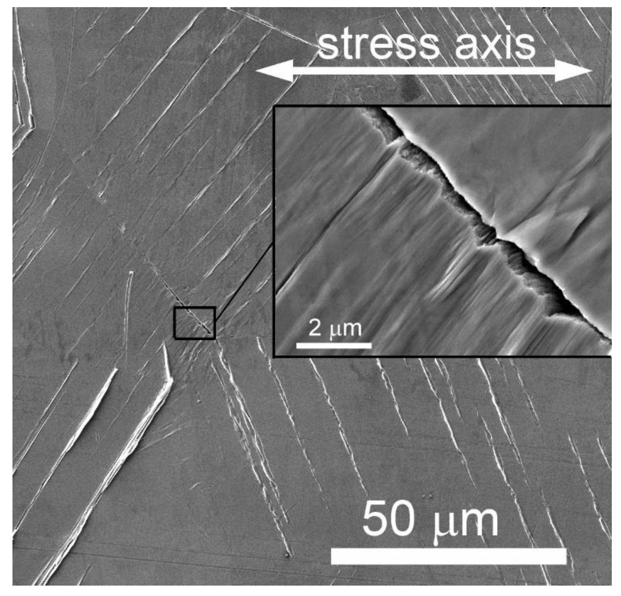 Crystals 13 00220 g022