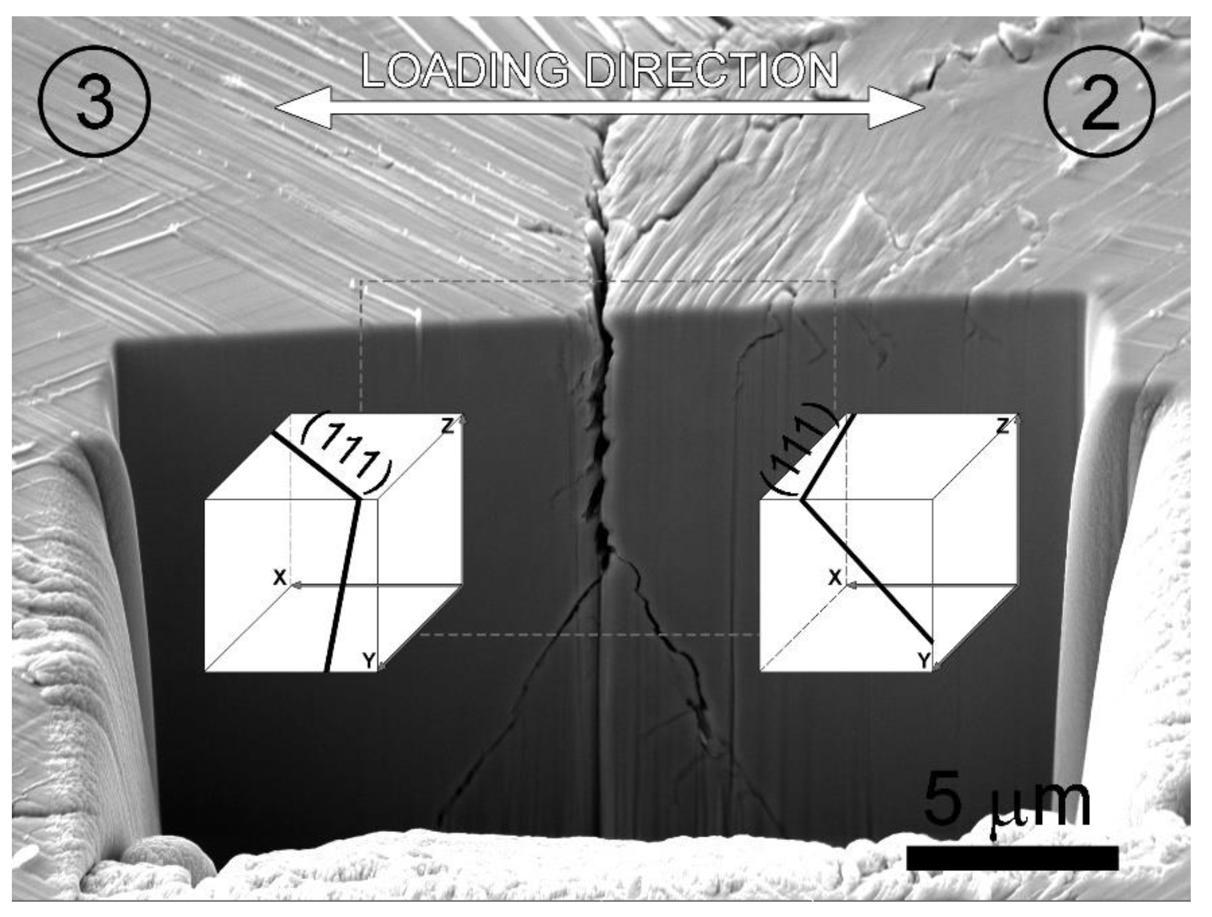 Crystals 13 00220 g023