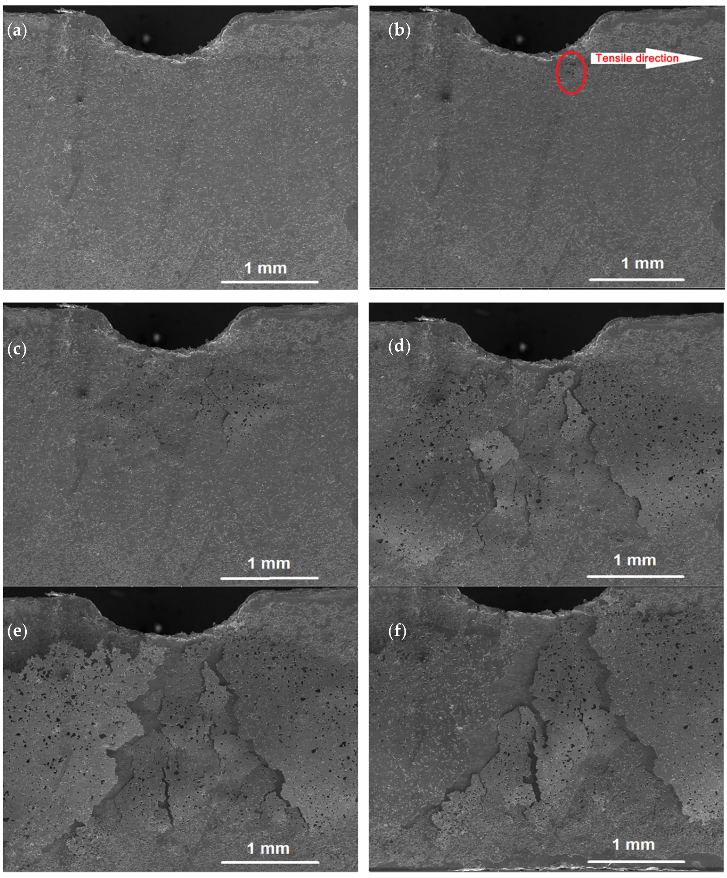 Crystals 13 00225 g008