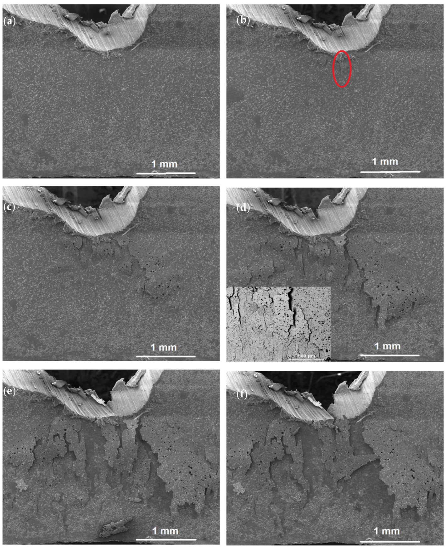 Crystals 13 00225 g010