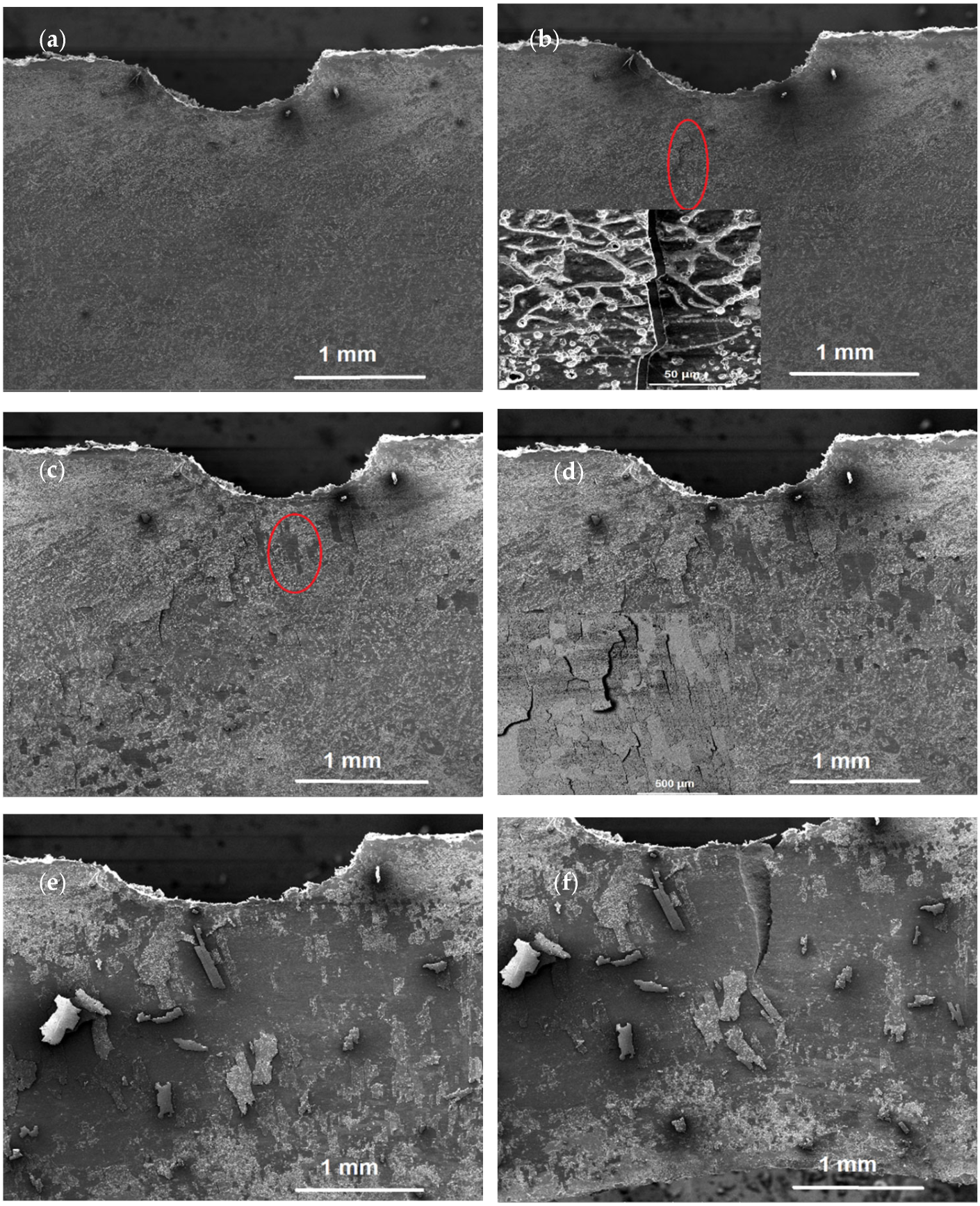 Crystals 13 00225 g012