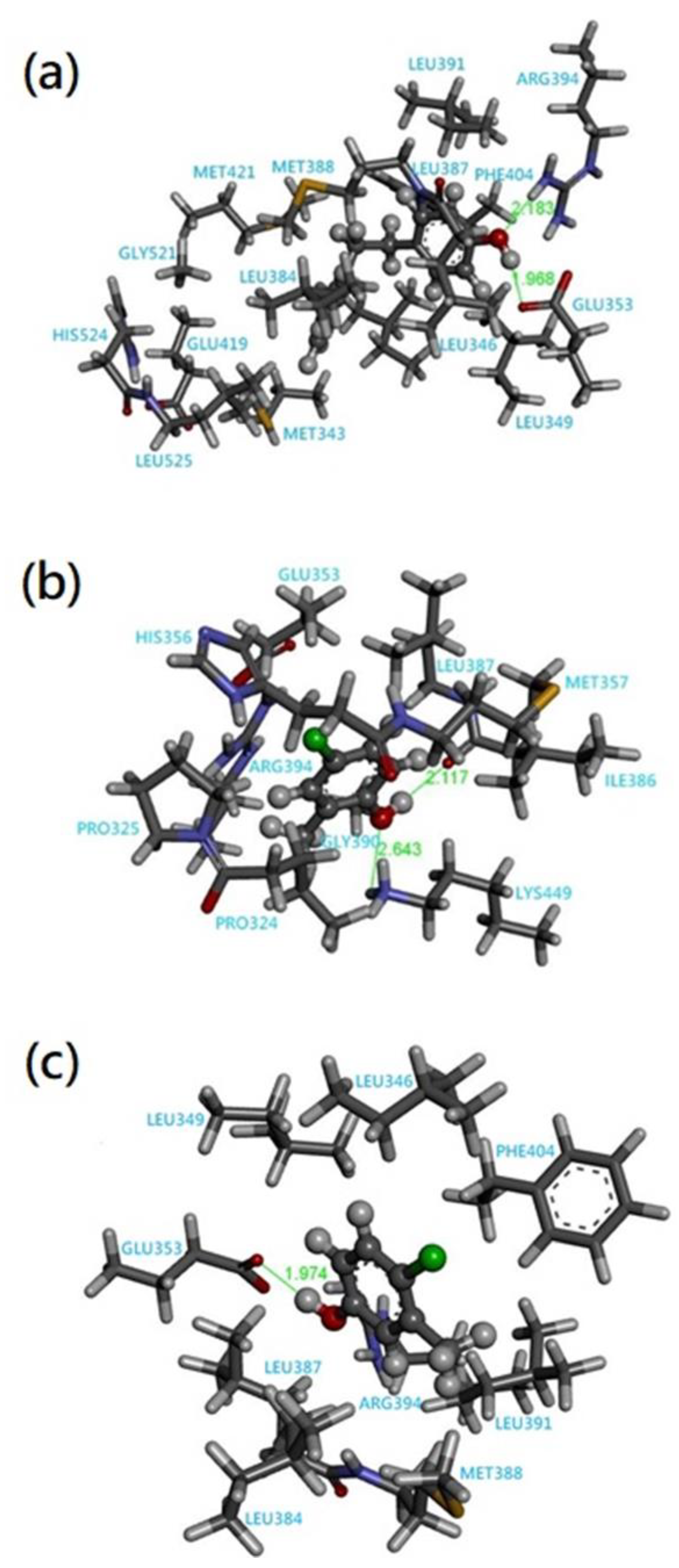 Crystals 13 00228 g003 Crystals 13 00228 g003