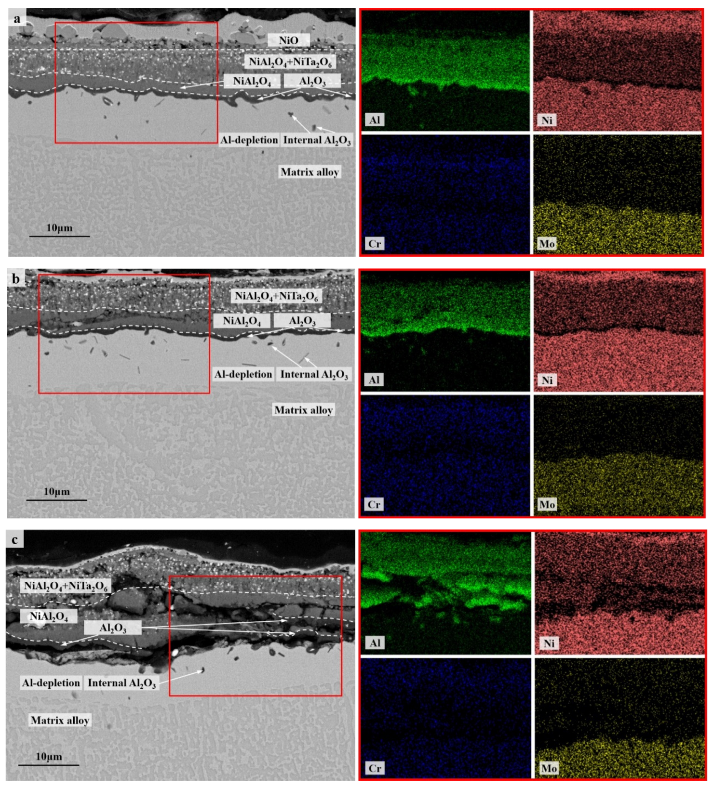 Crystals 13 00234 g005