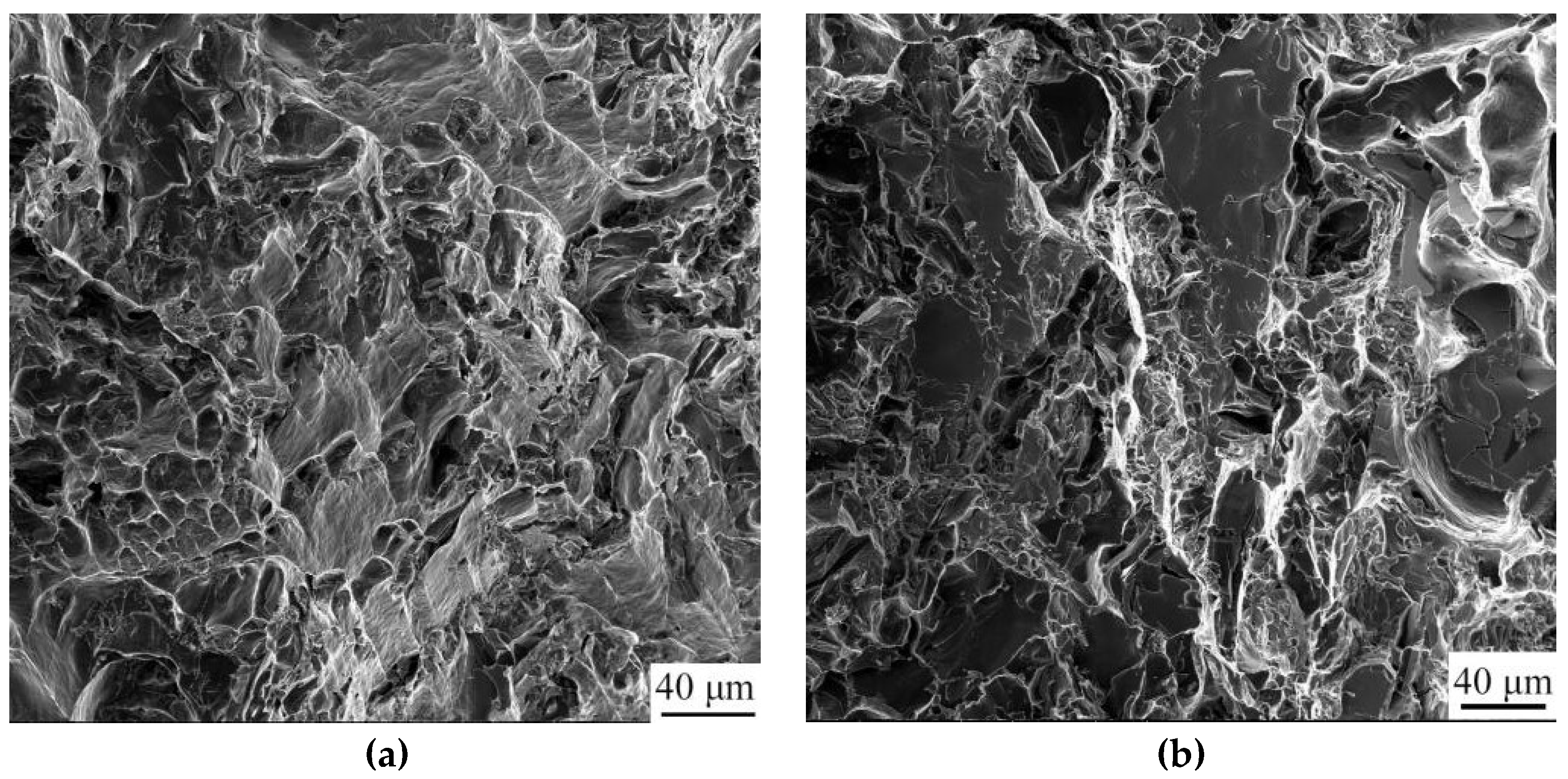 Crystals 13 00236 g010 Crystals 13 00236 g010