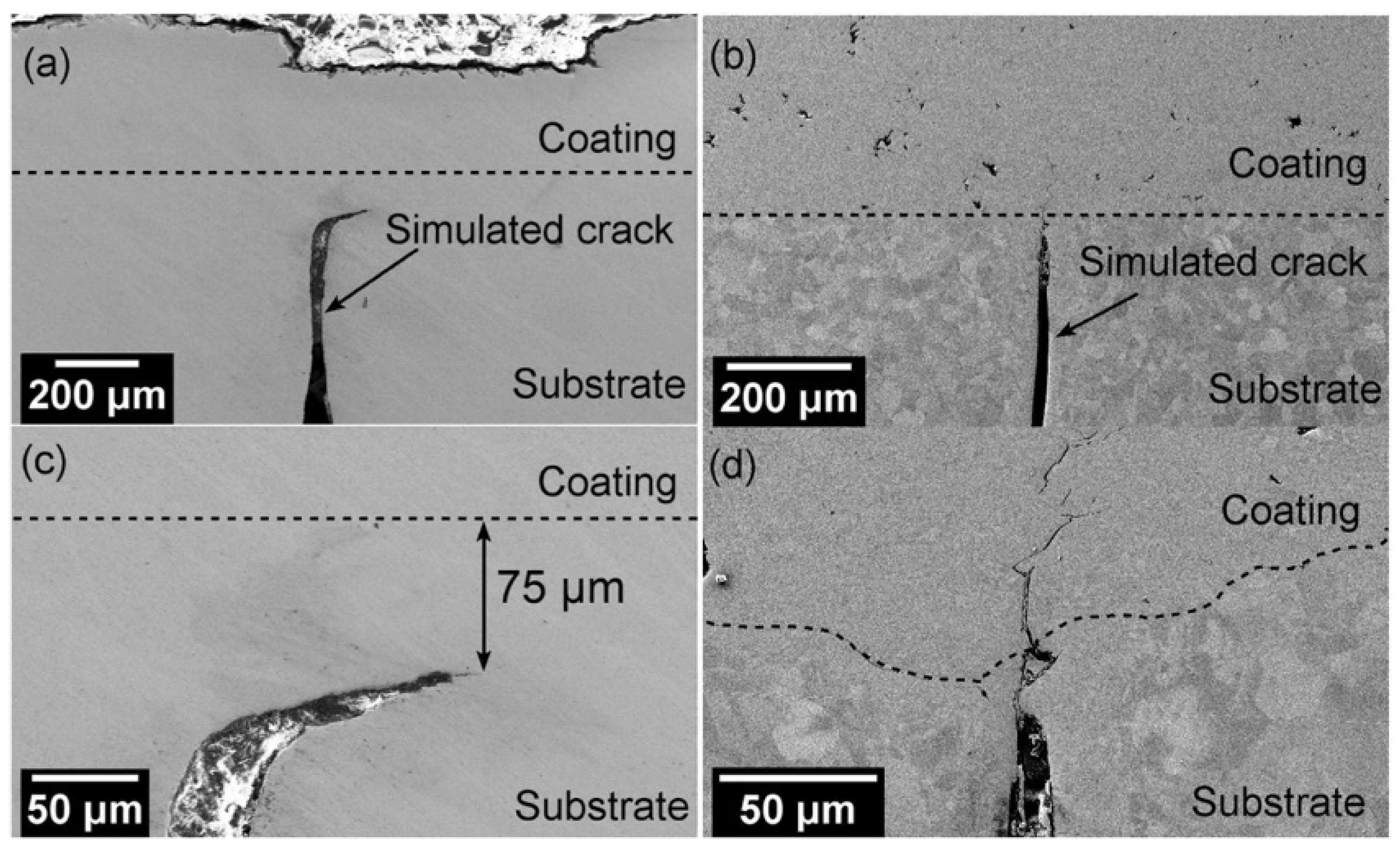 Crystals 13 00245 g006
