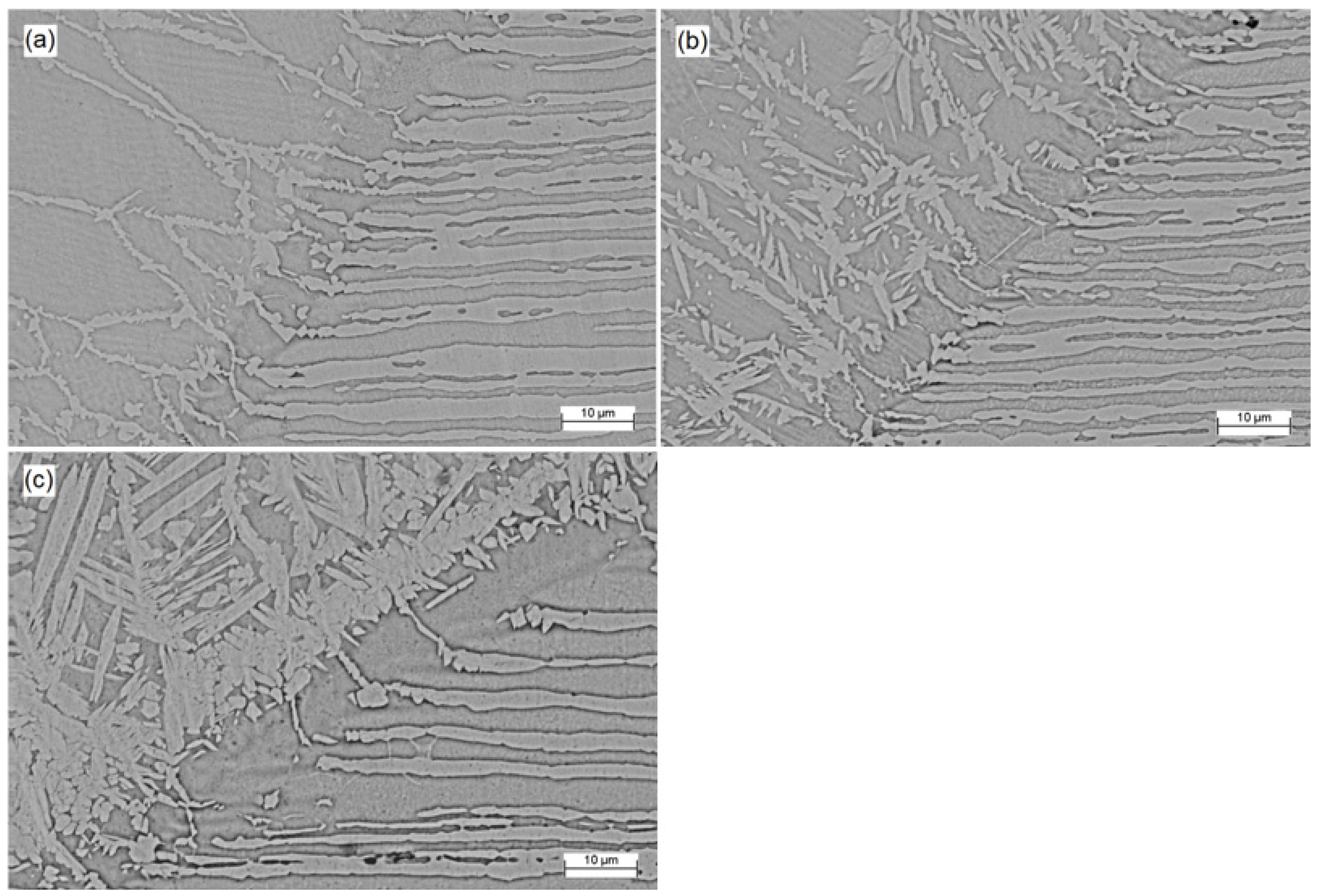 Crystals 13 00256 g006