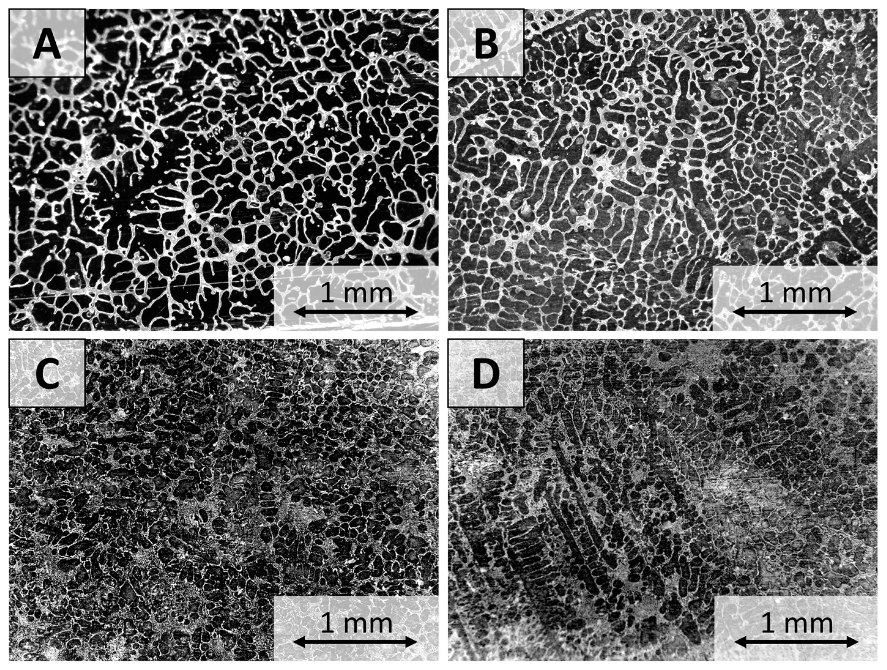 Crystals 13 00259 g008
