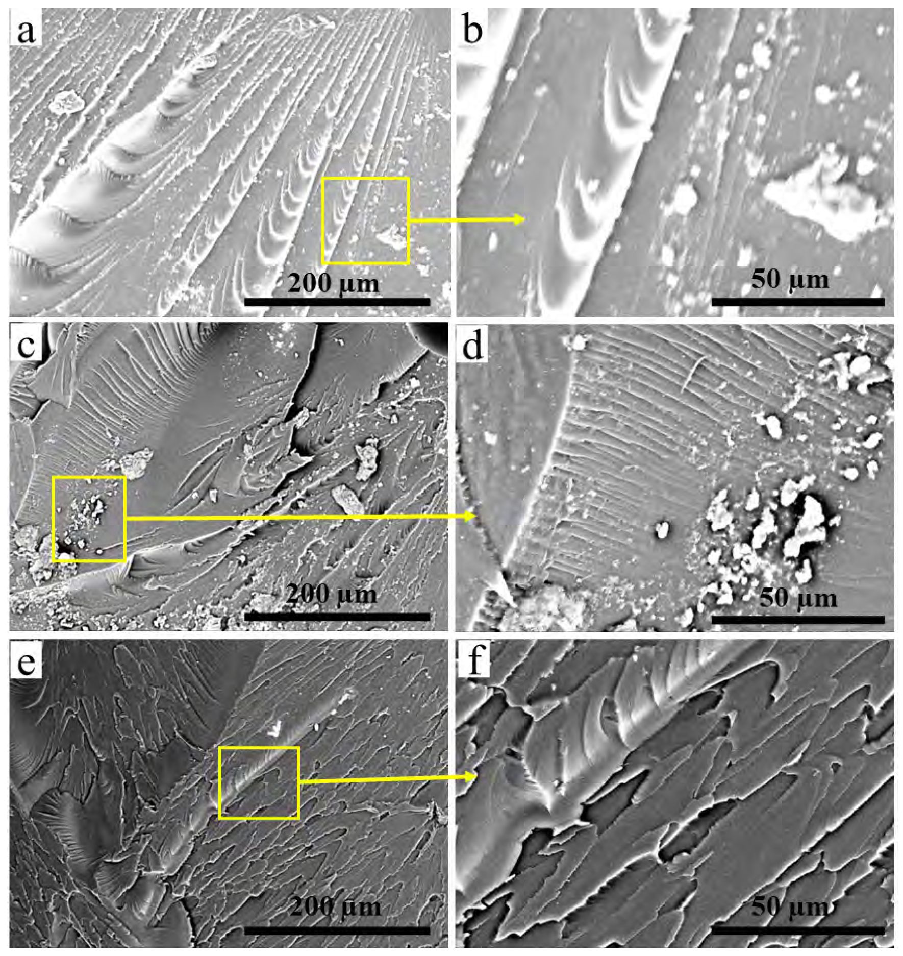Crystals 13 00285 g013