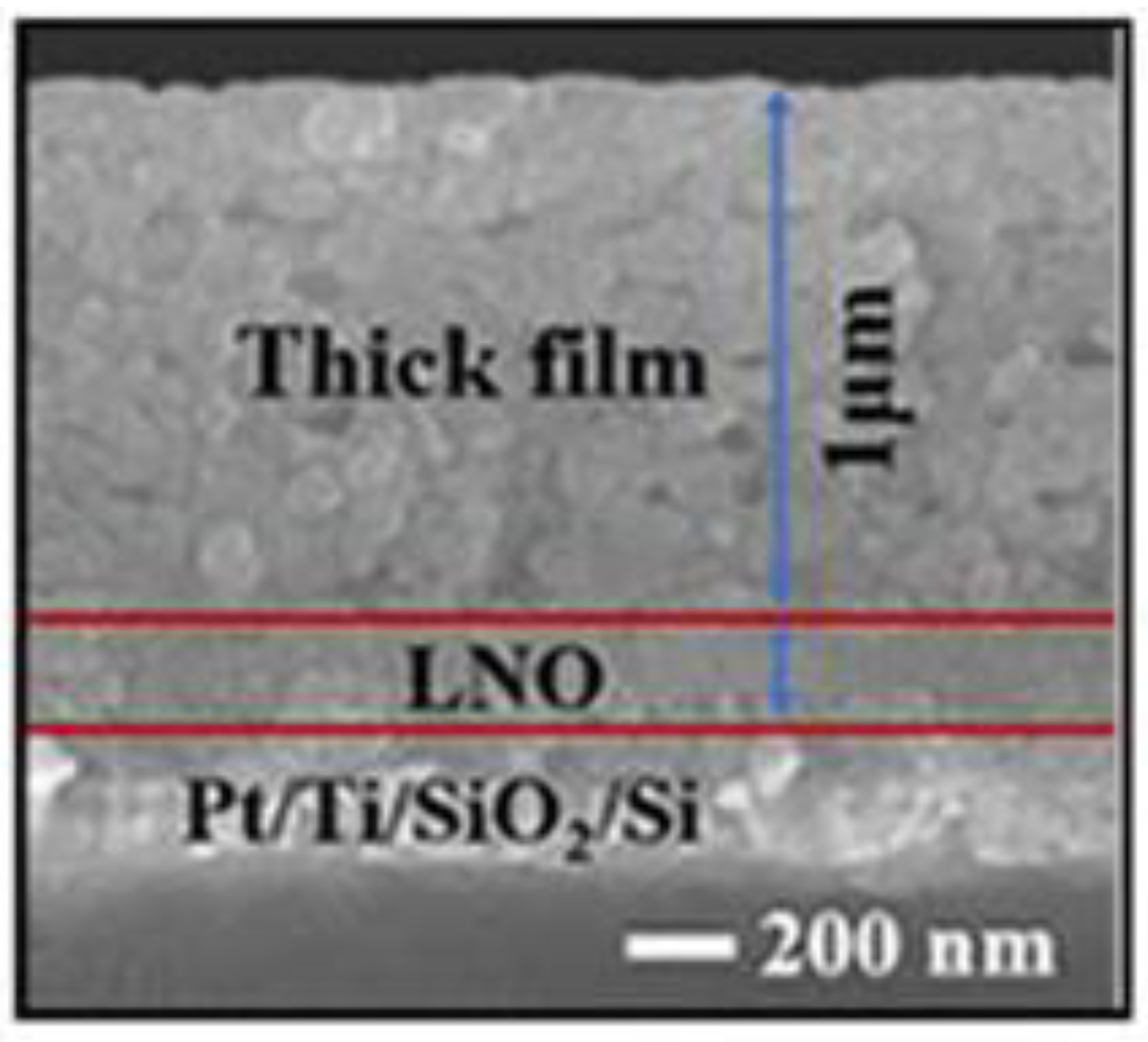 Crystals 13 00295 g005