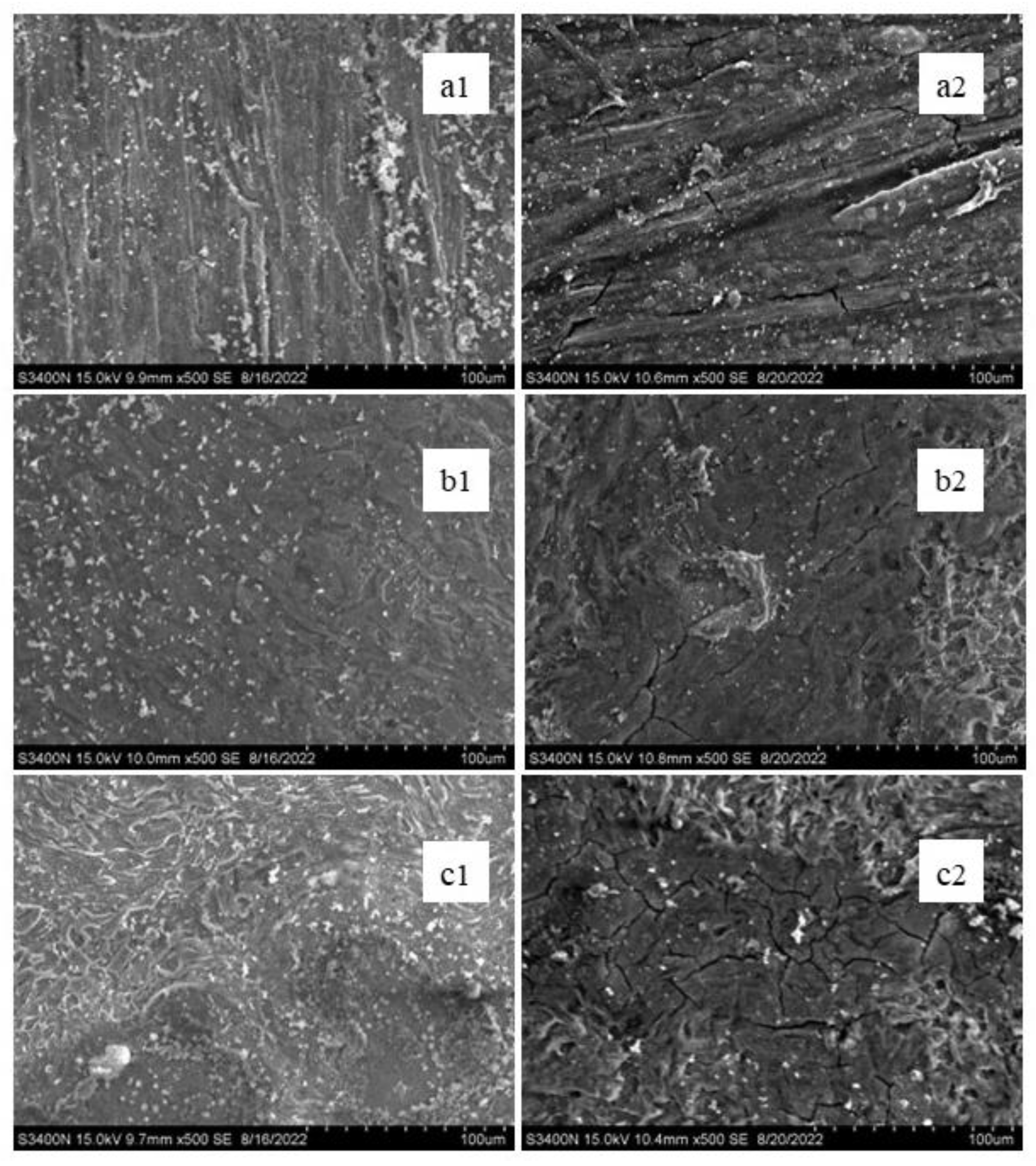 Crystals 13 00299 g011