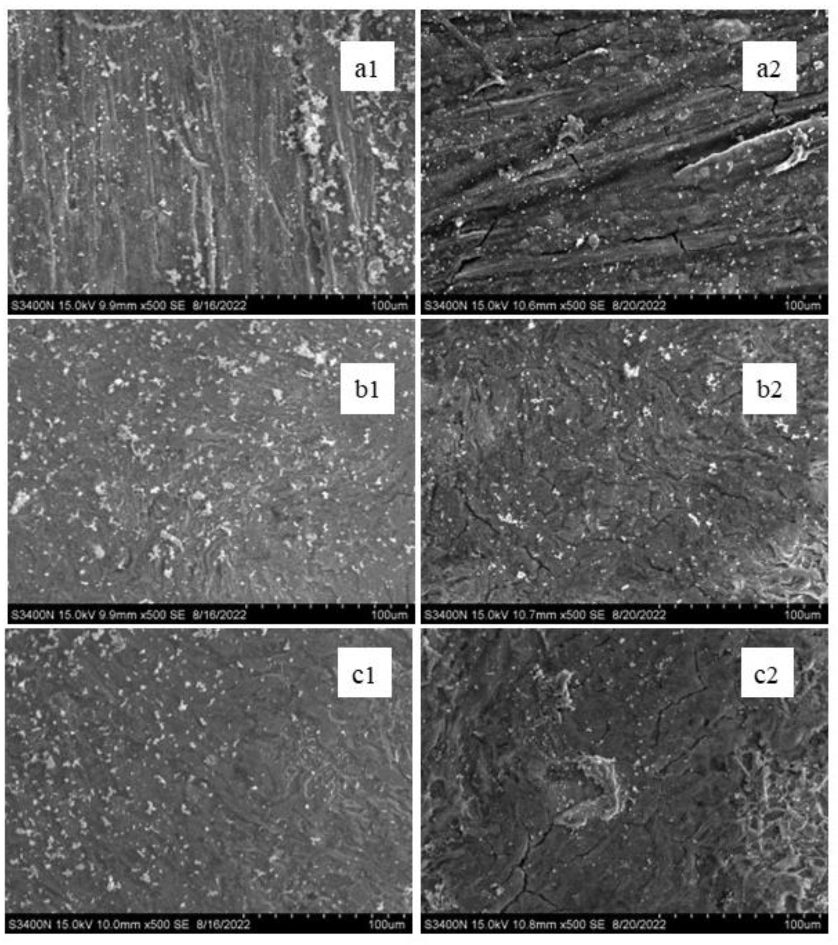 Crystals 13 00299 g015