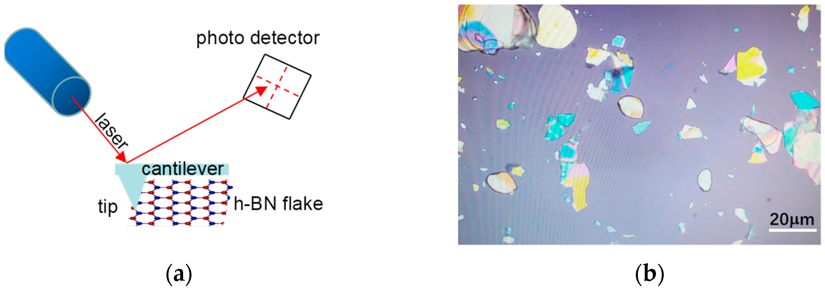 Crystals 13 00304 g003