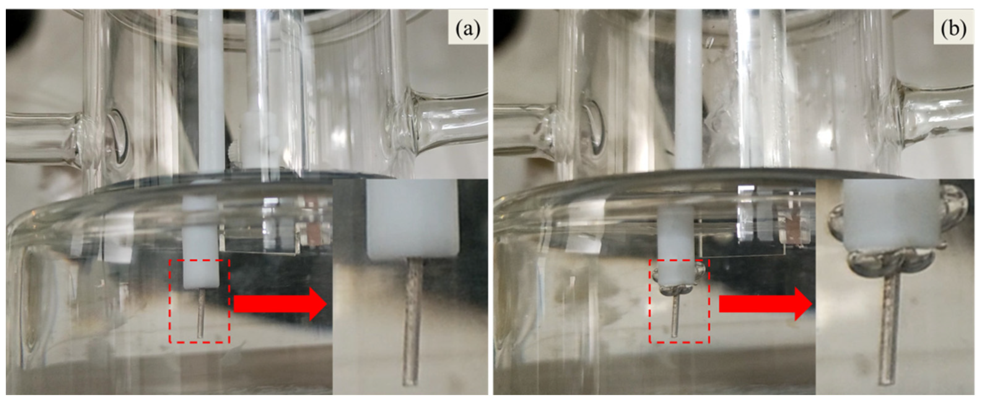 Crystals 13 00319 g006 Crystals 13 00319 g006