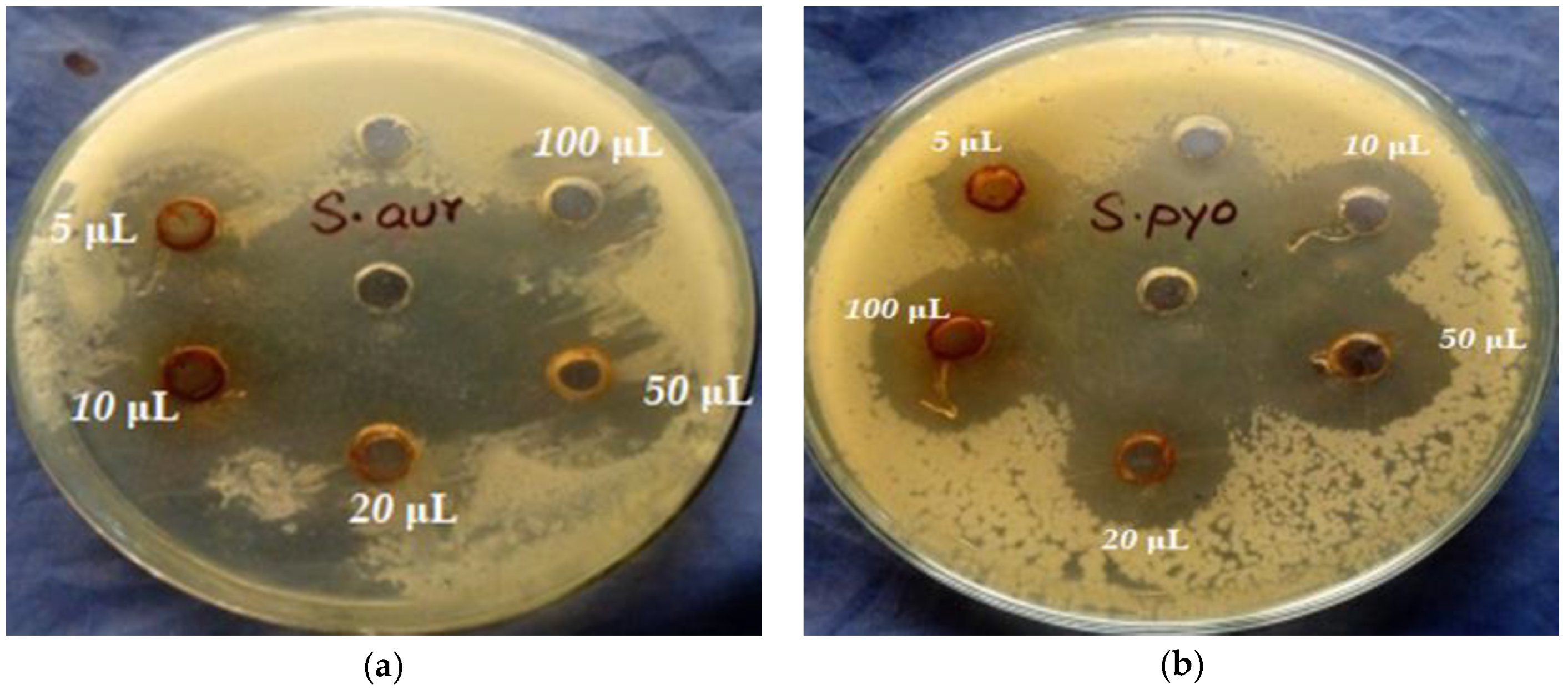 Crystals 13 00330 g007a