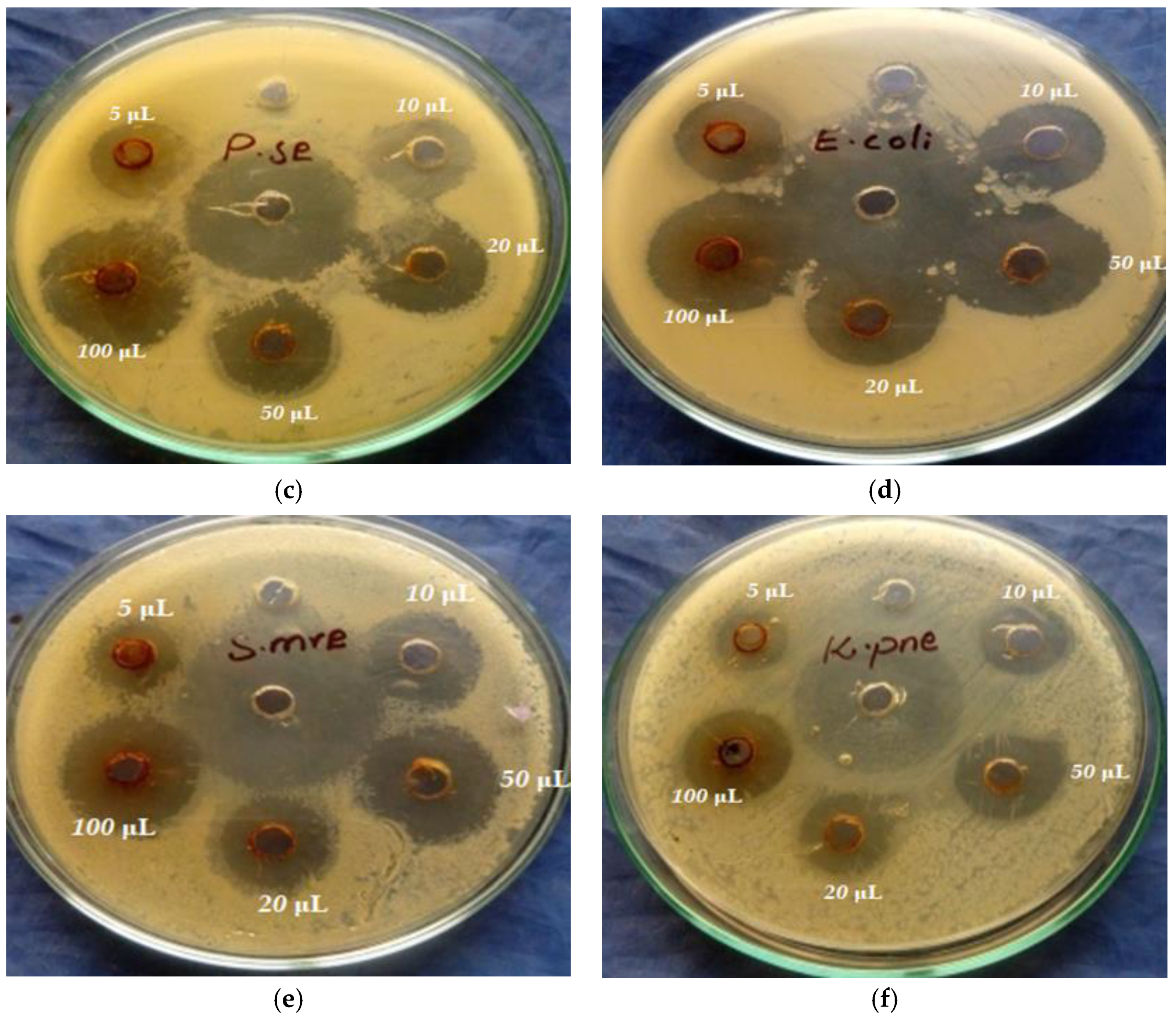 Crystals 13 00330 g007b