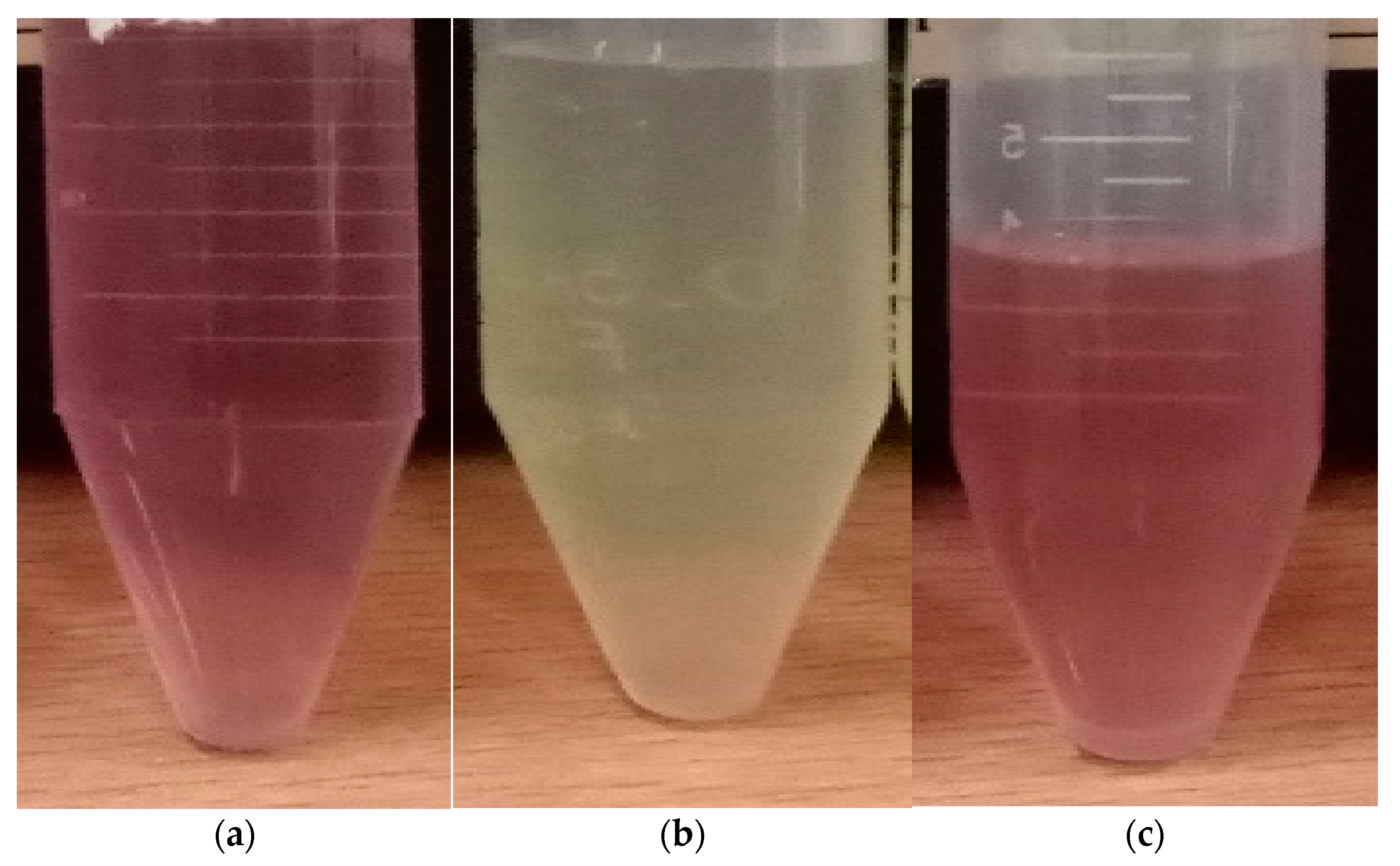Crystals 13 00340 g003