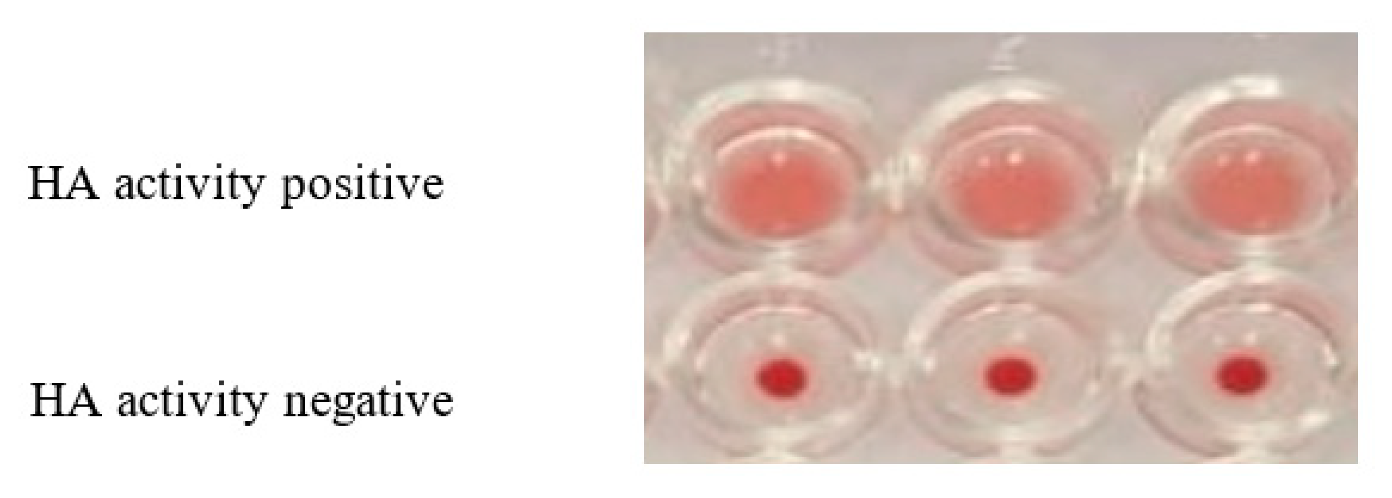 Crystals 13 00340 g005