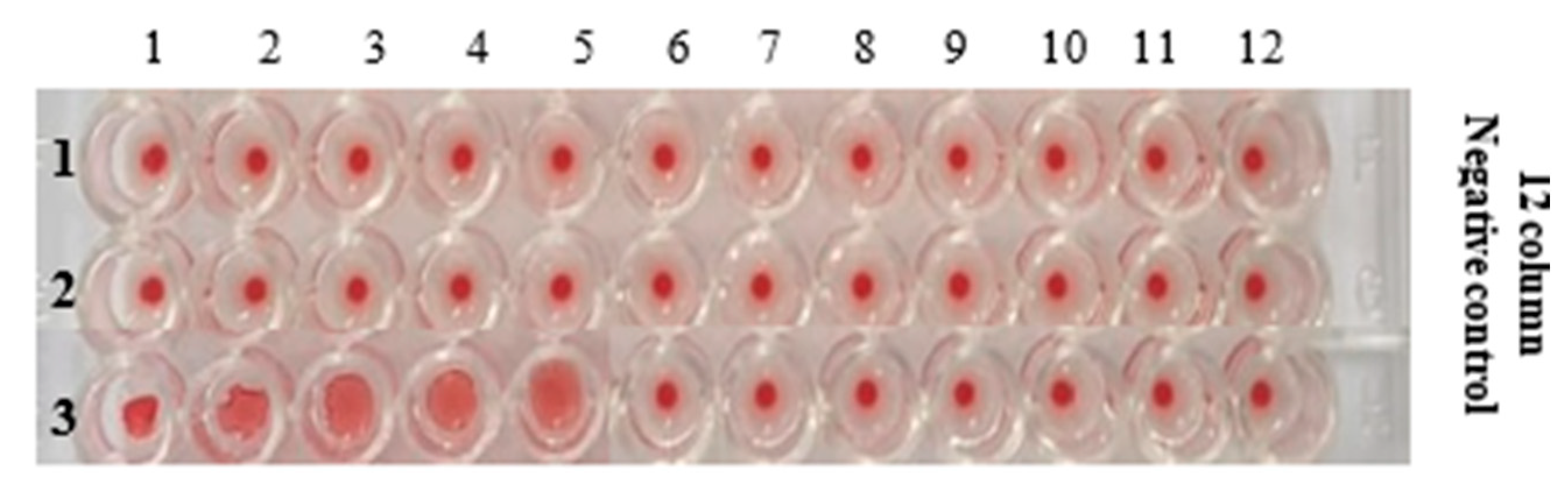 Crystals 13 00340 g010