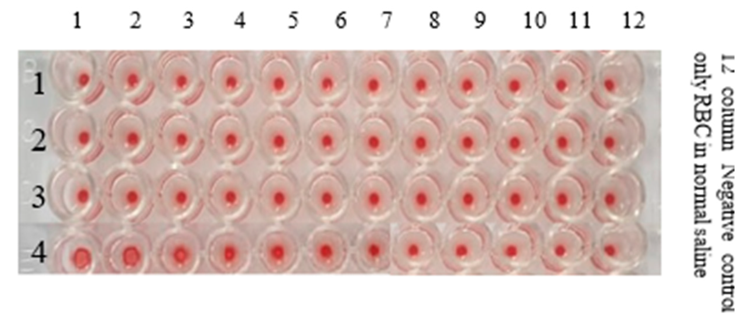 Crystals 13 00340 g011