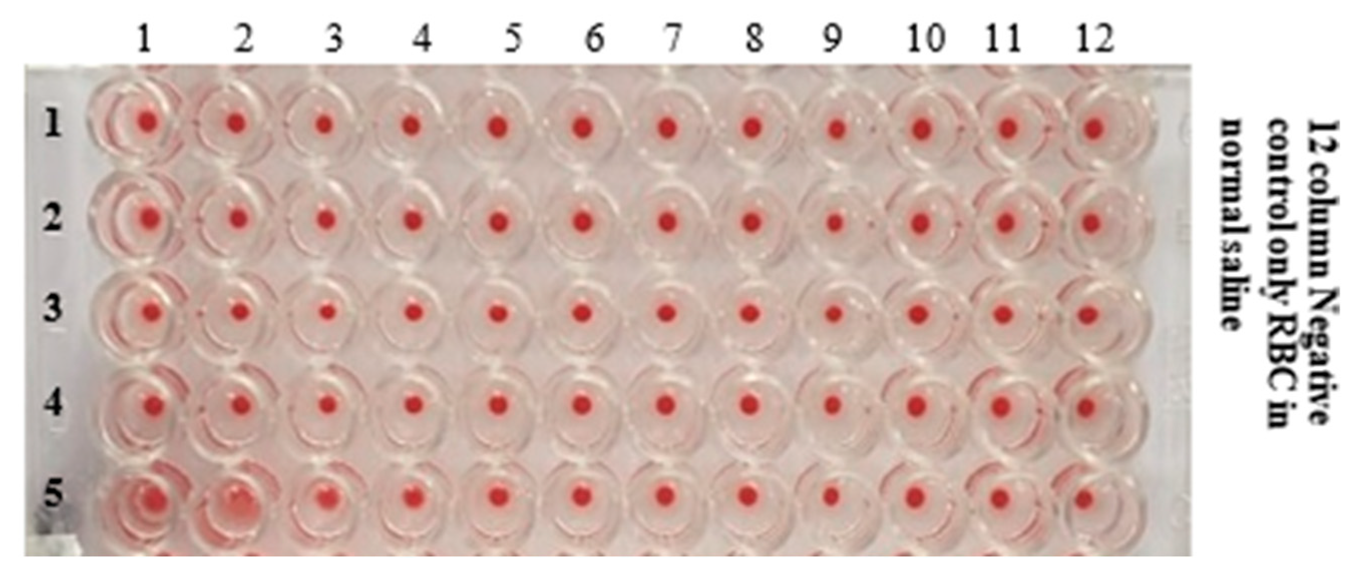 Crystals 13 00340 g012