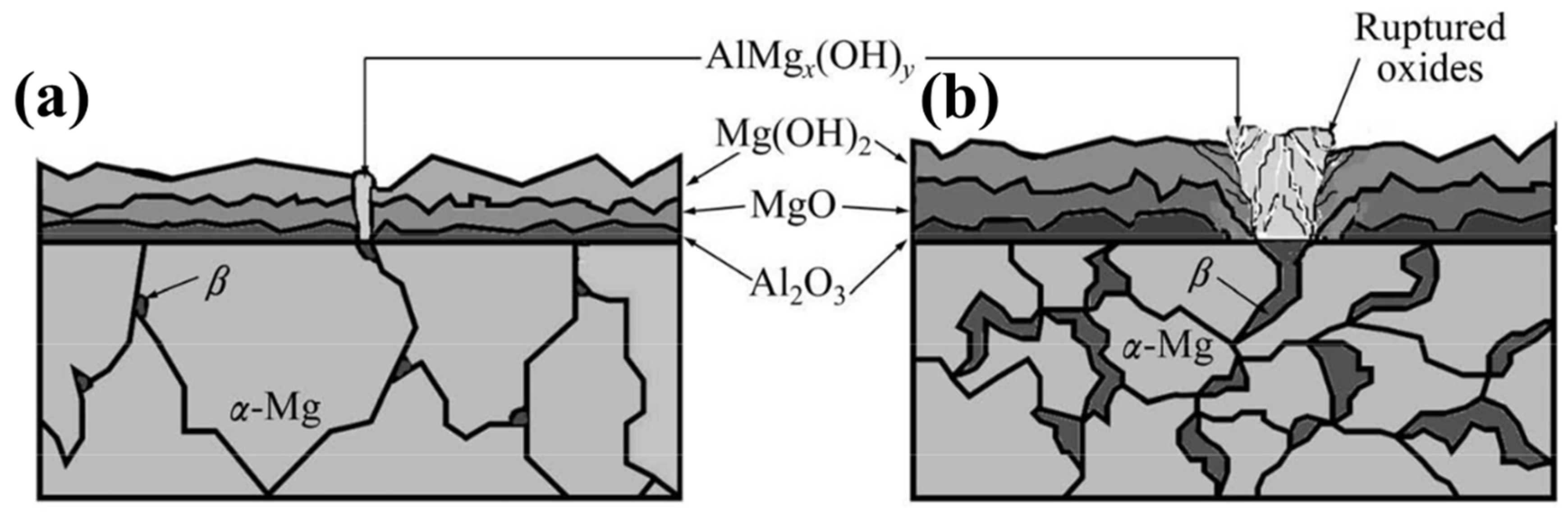 Crystals 13 00344 g007