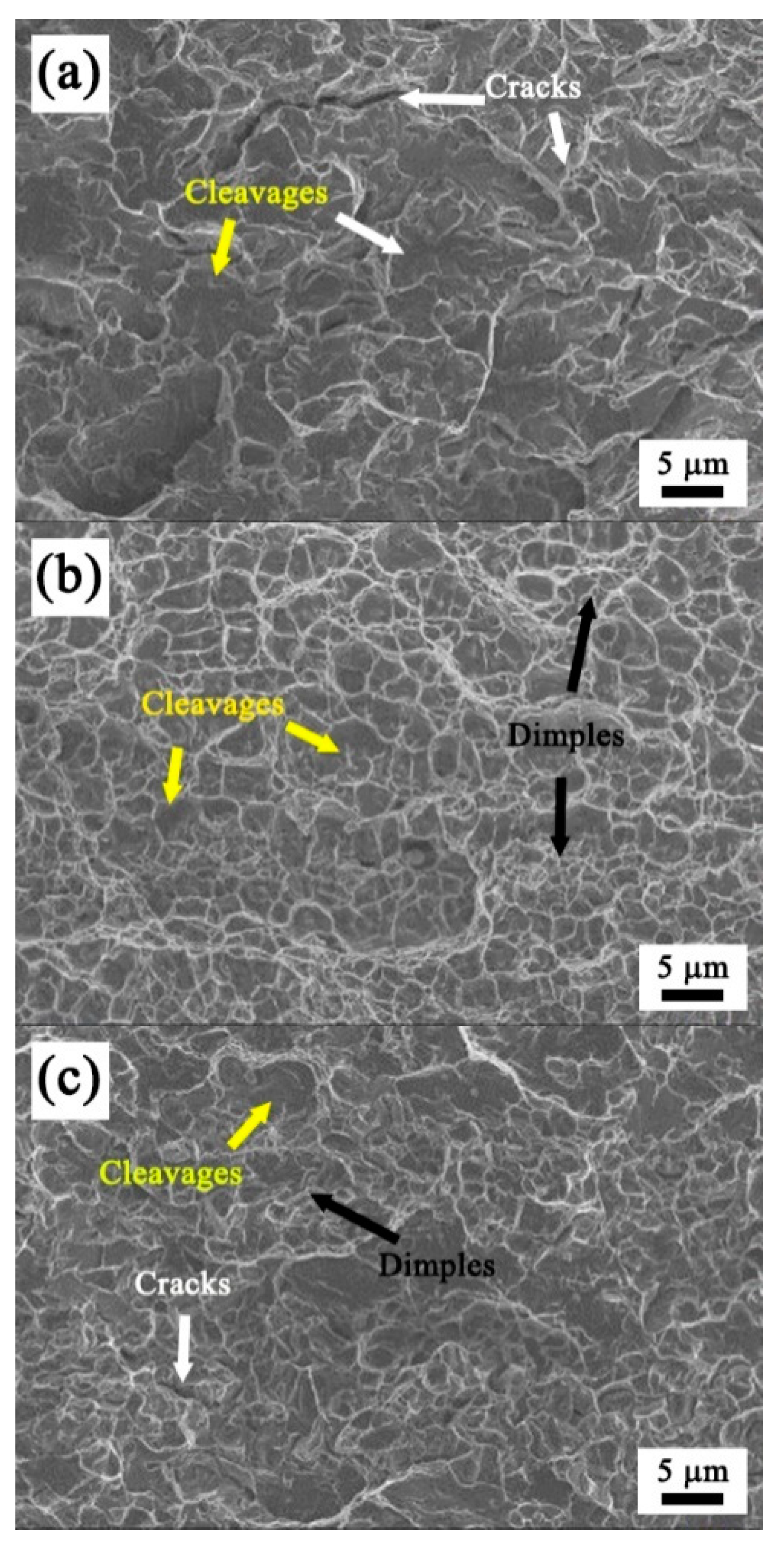 Crystals 13 00351 g006