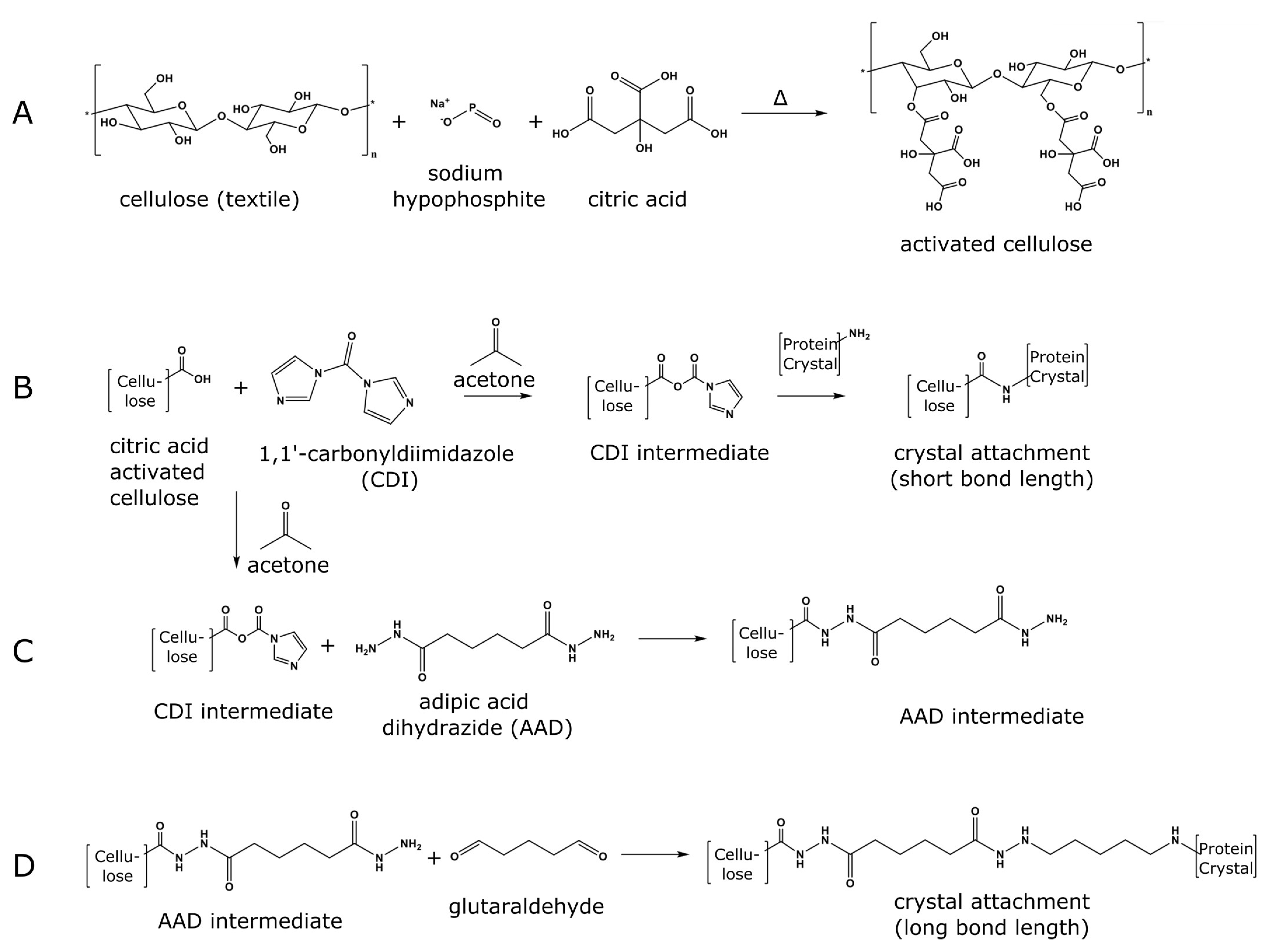 Crystals 13 00352 g002