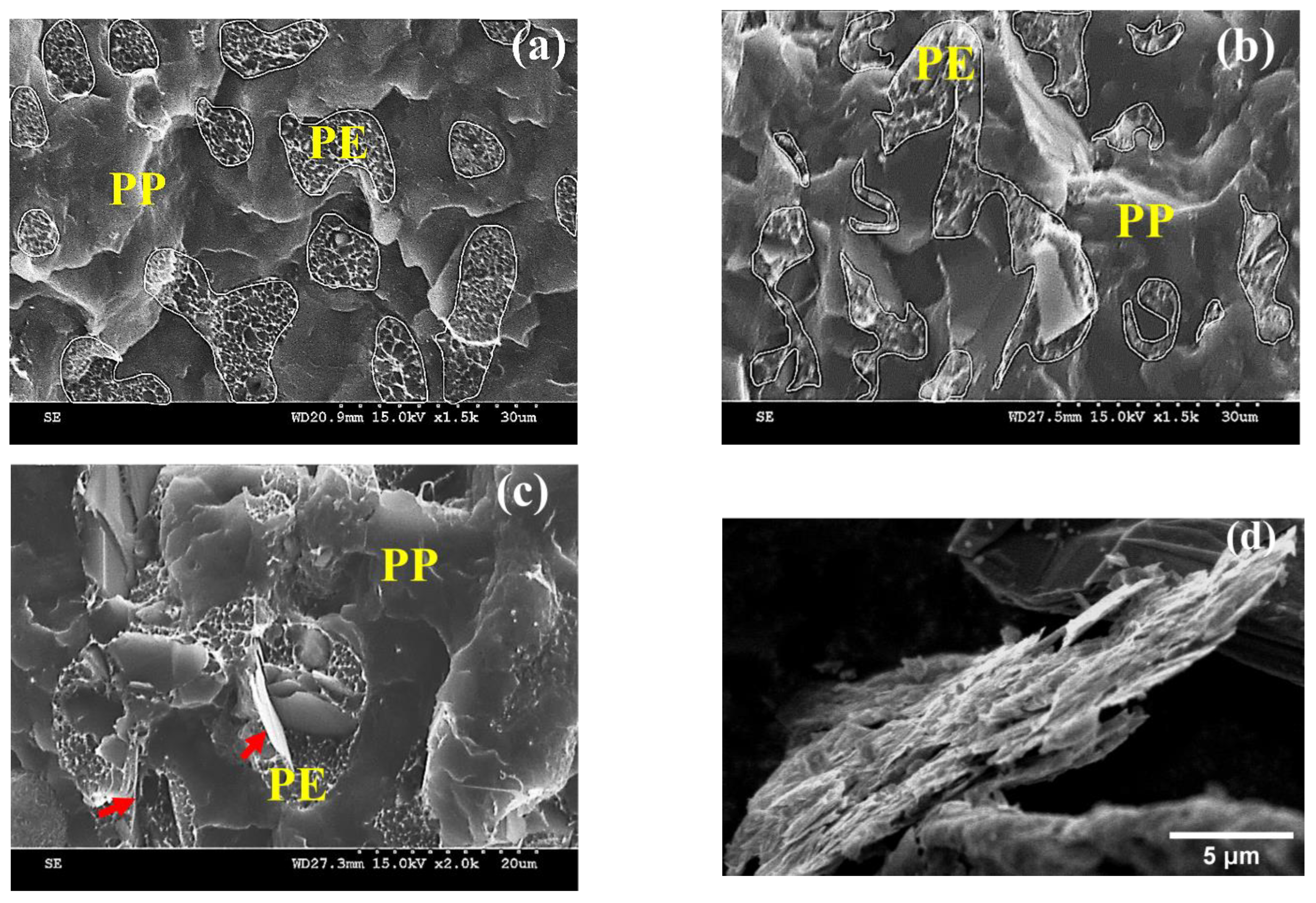 Crystals 13 00358 g004