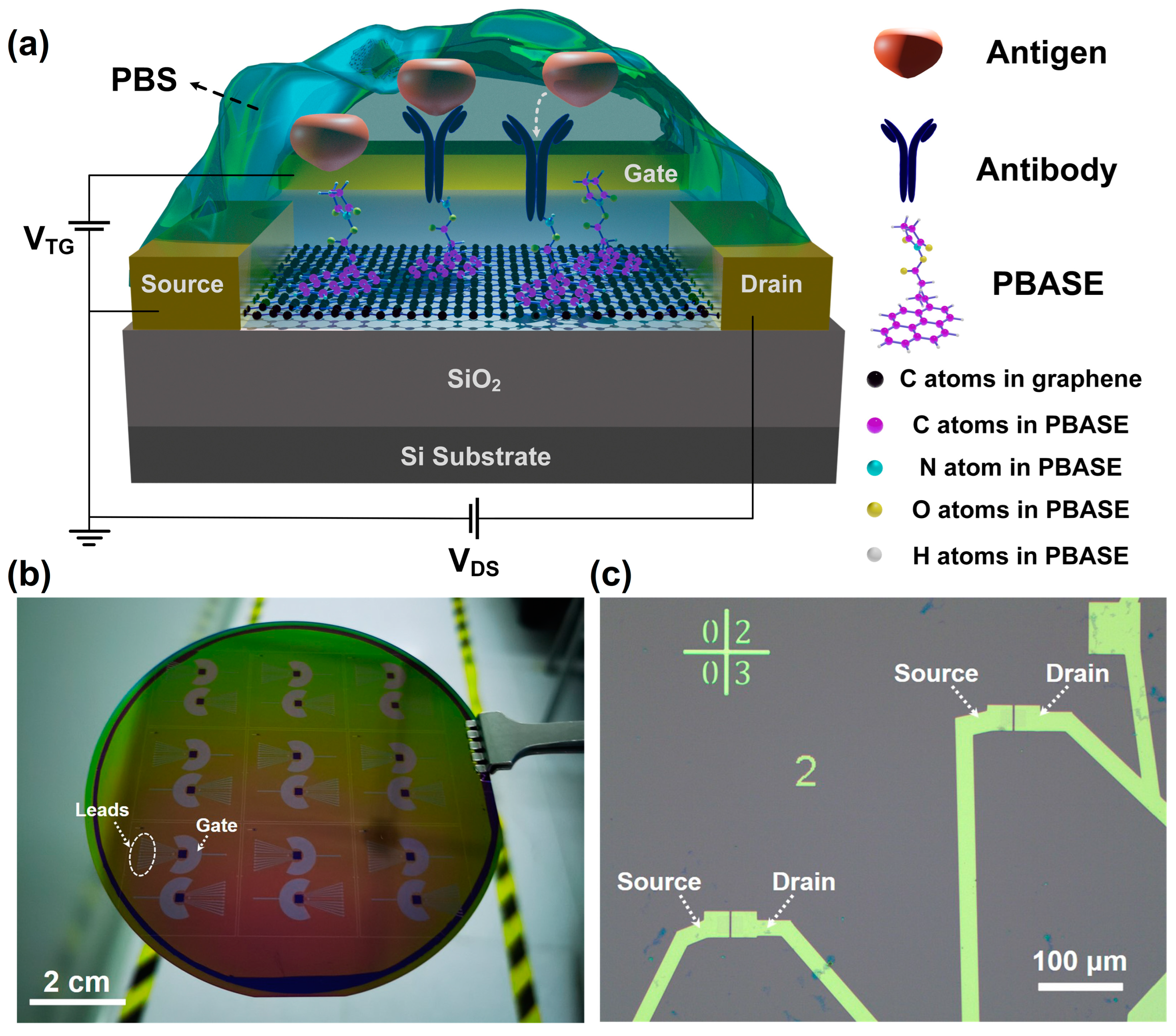 Crystals 13 00359 g001 Crystals 13 00359 g001