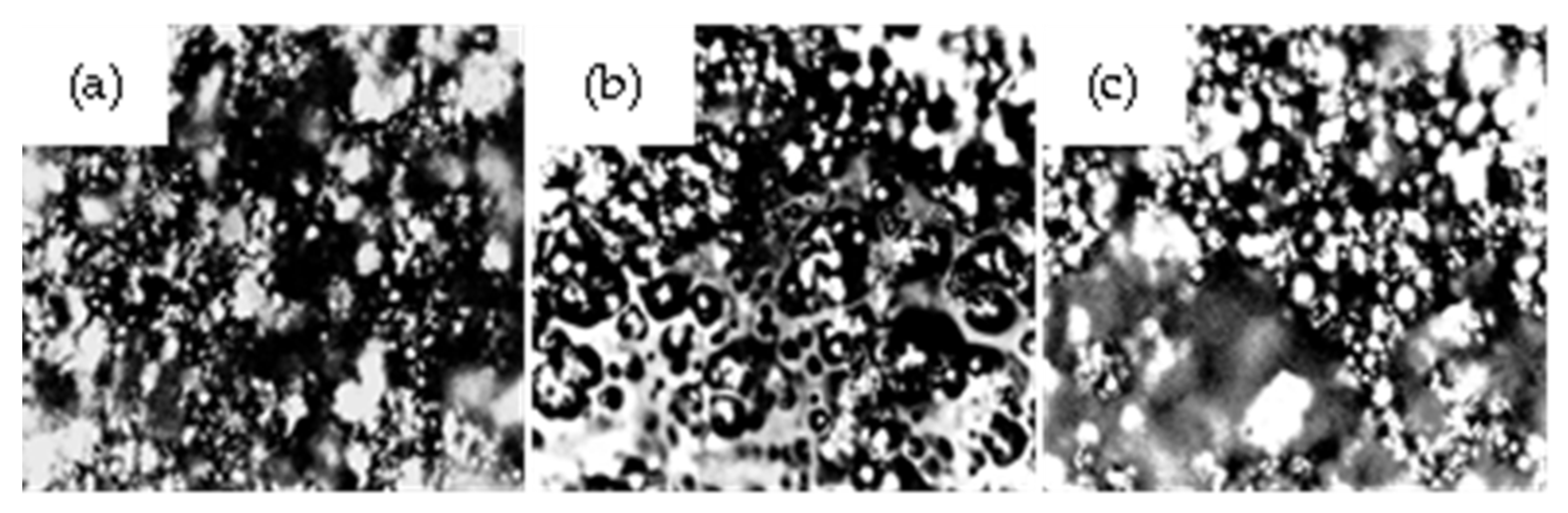 Crystals 13 00368 g005