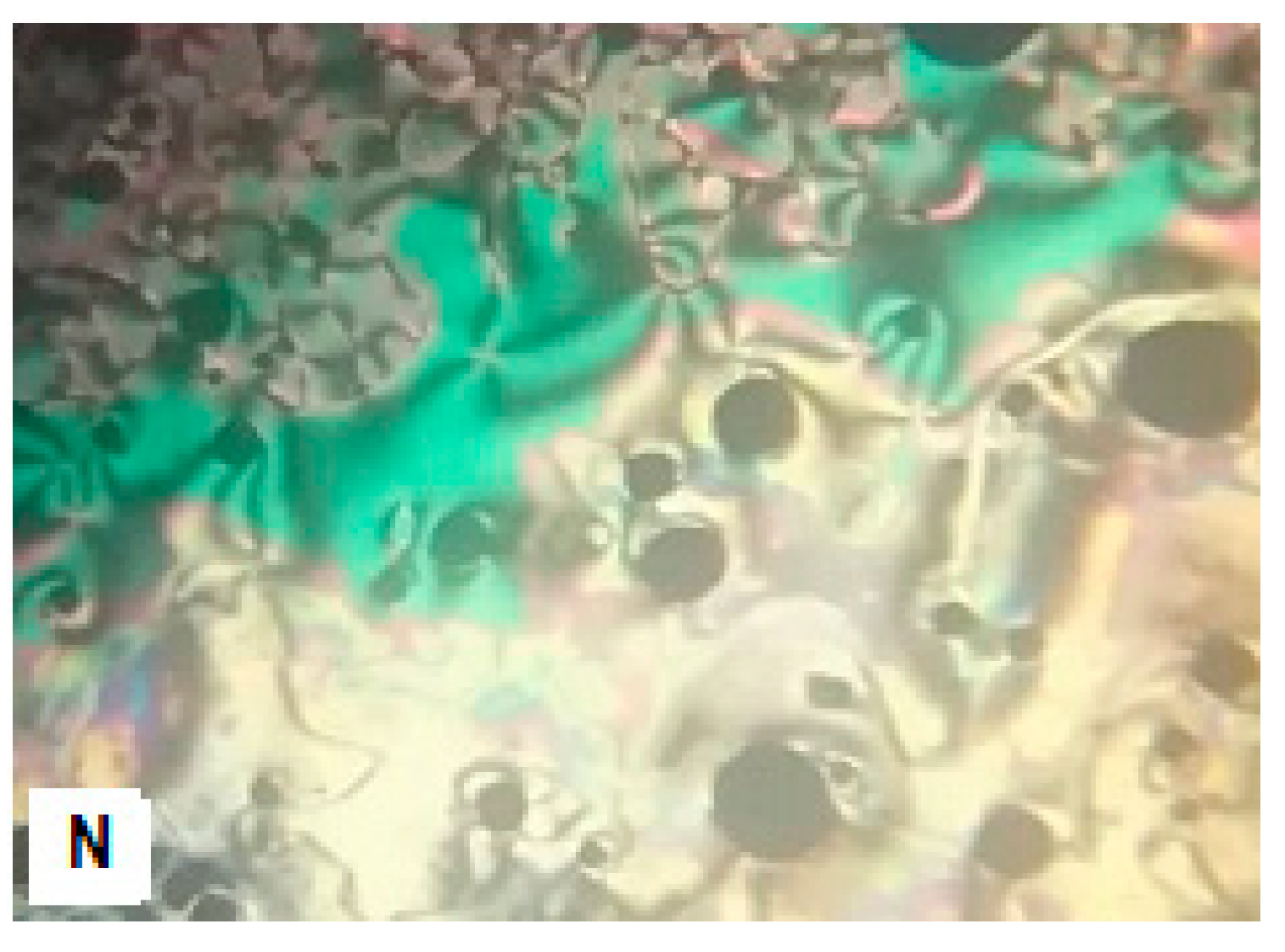 Crystals 13 00378 g002