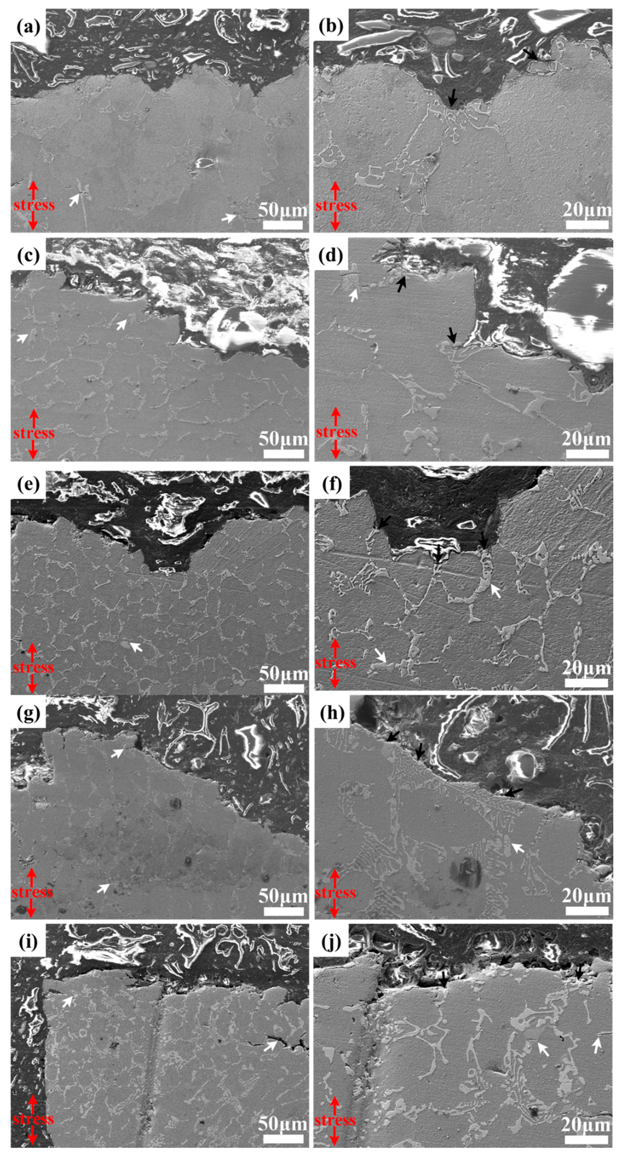 Crystals 13 00380 g008