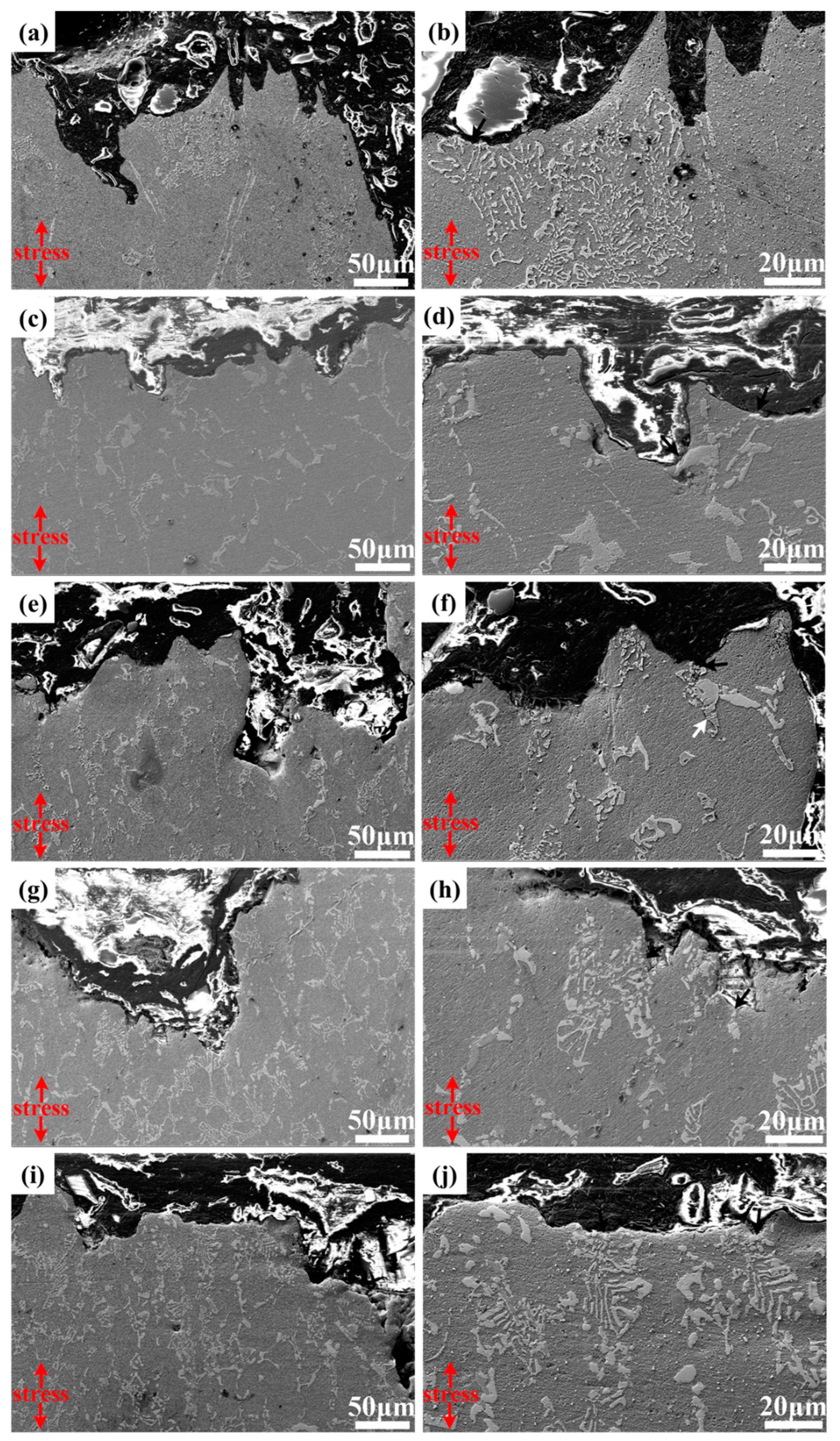 Crystals 13 00380 g009