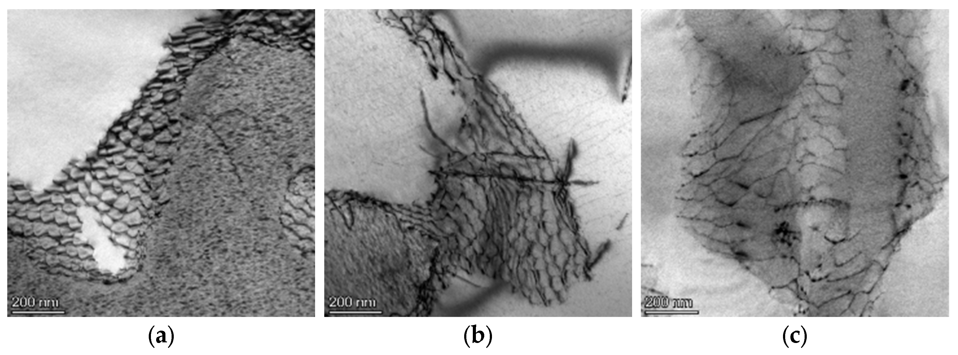 Crystals 13 00389 g013