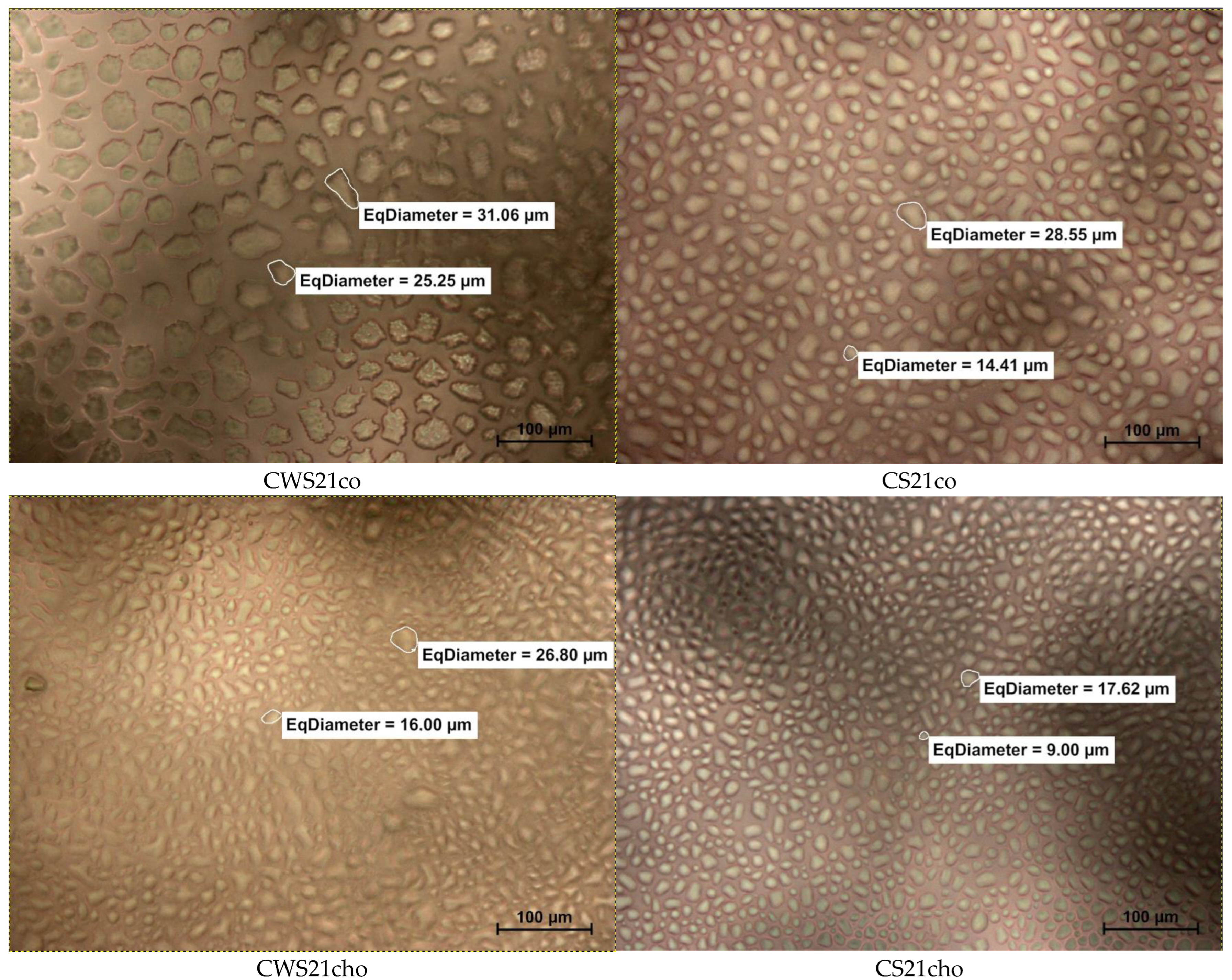 Crystals 13 00396 g008