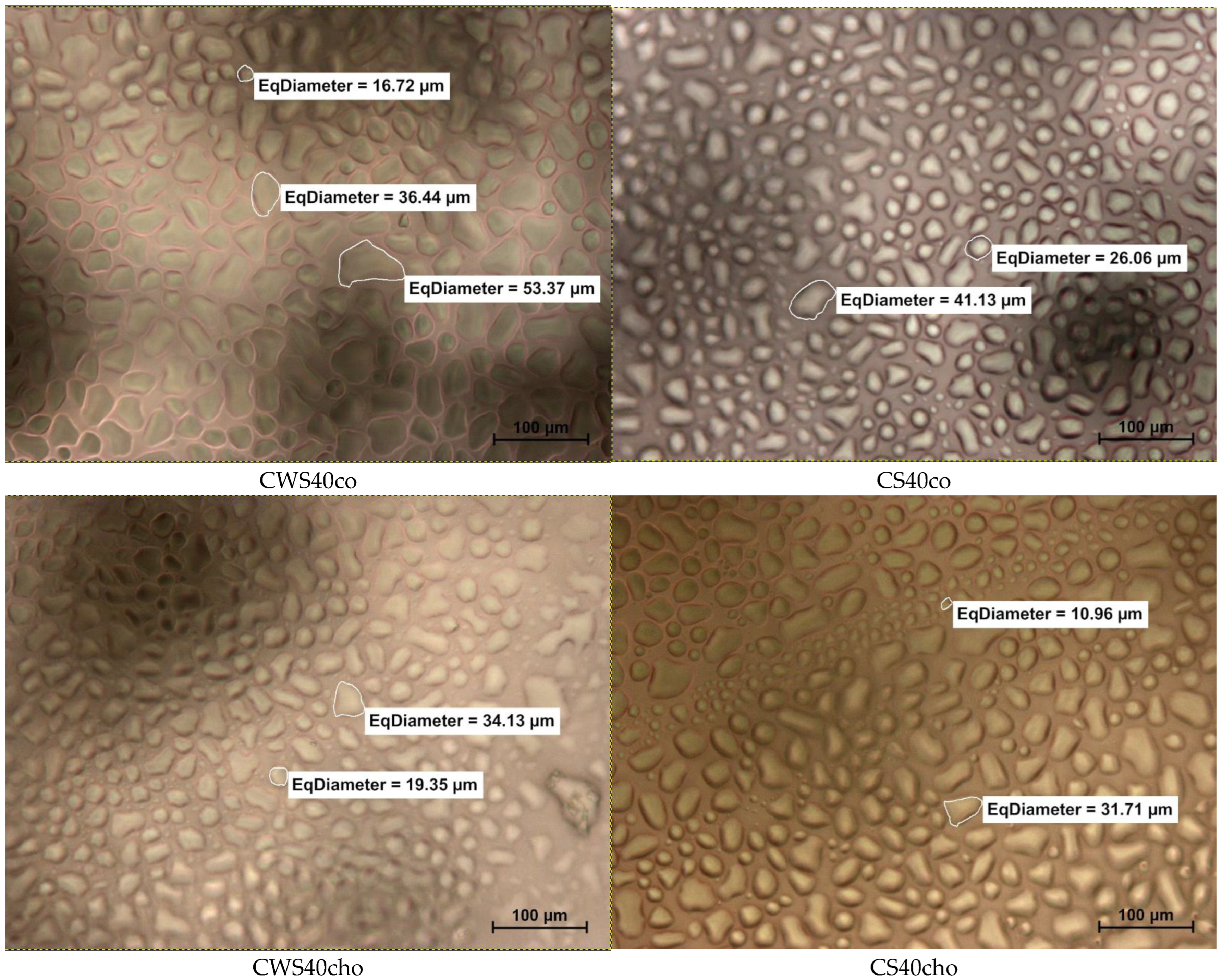 Crystals 13 00396 g010