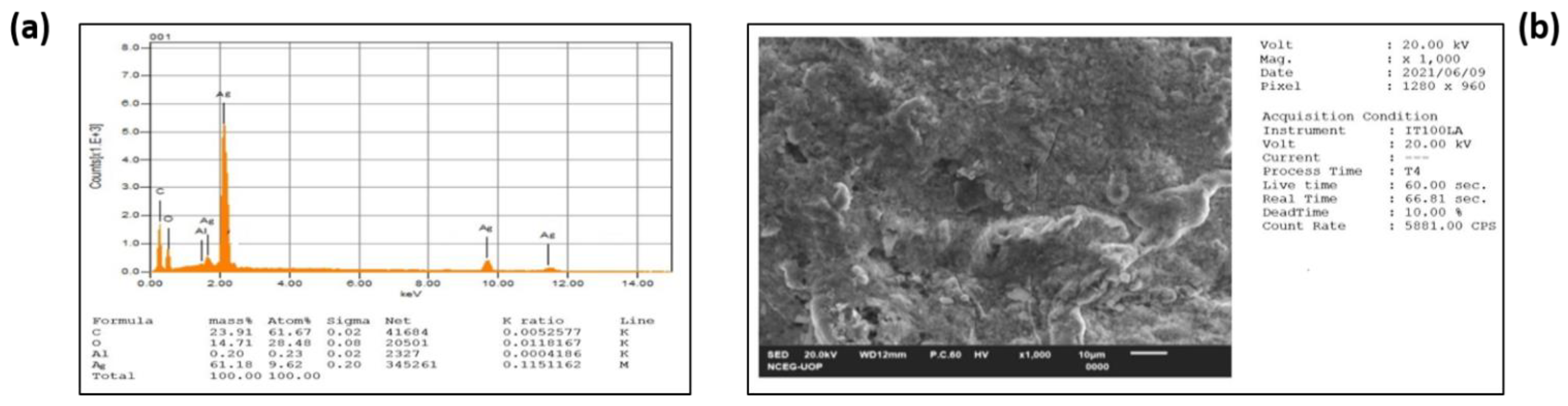 Crystals 13 00398 g002