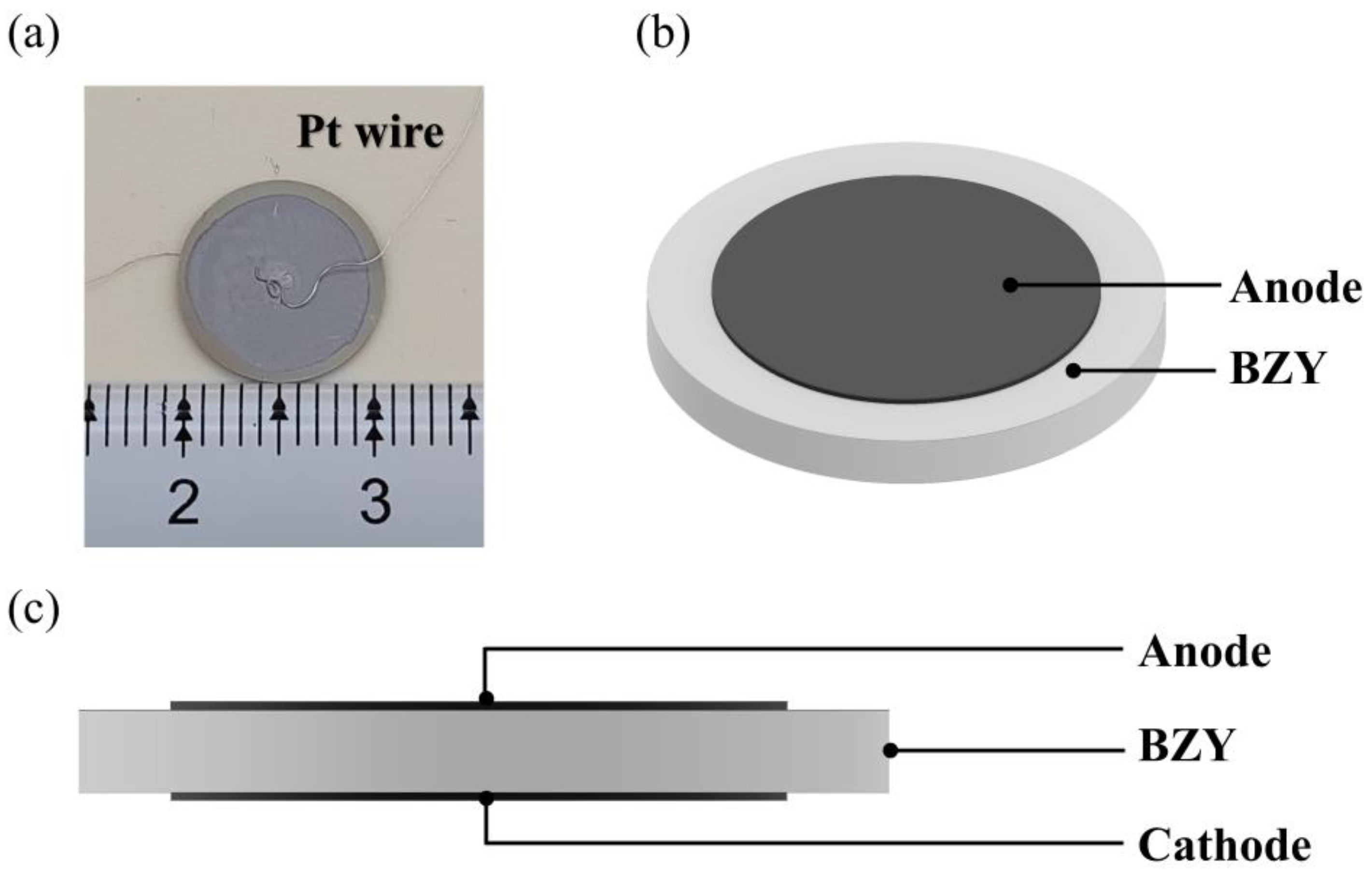 Crystals 13 00401 g001