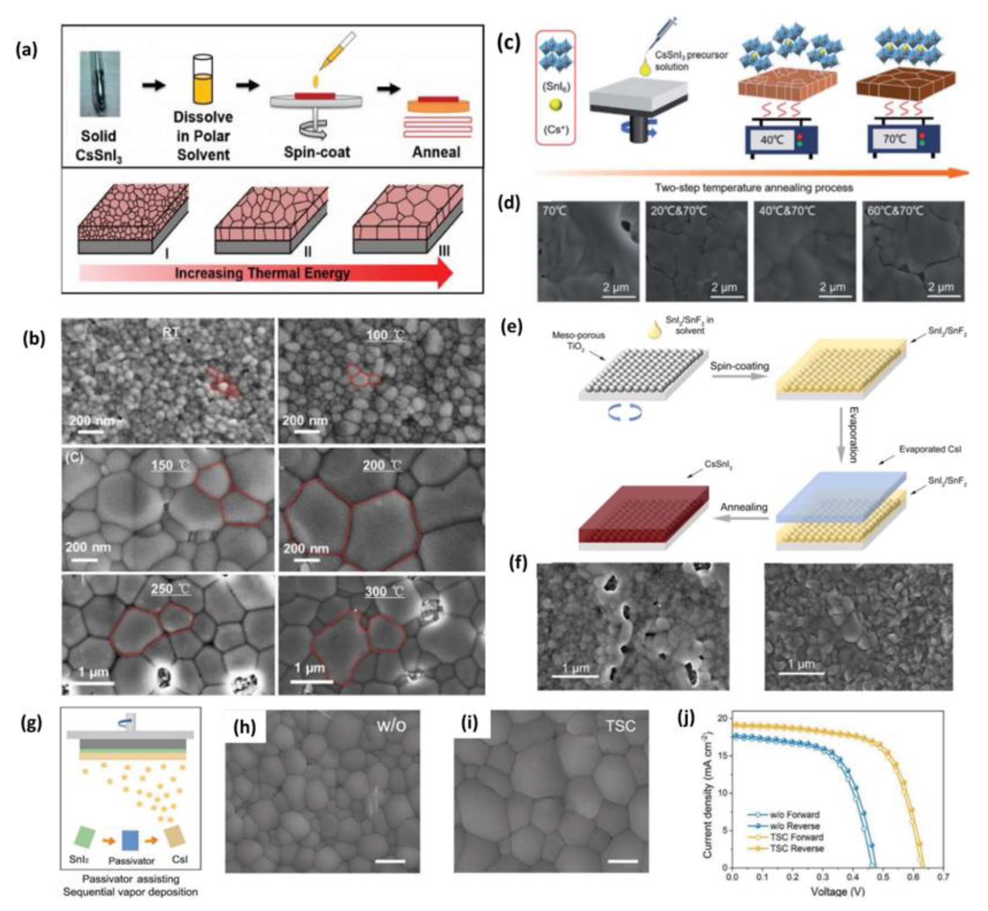 Crystals 13 00410 g006