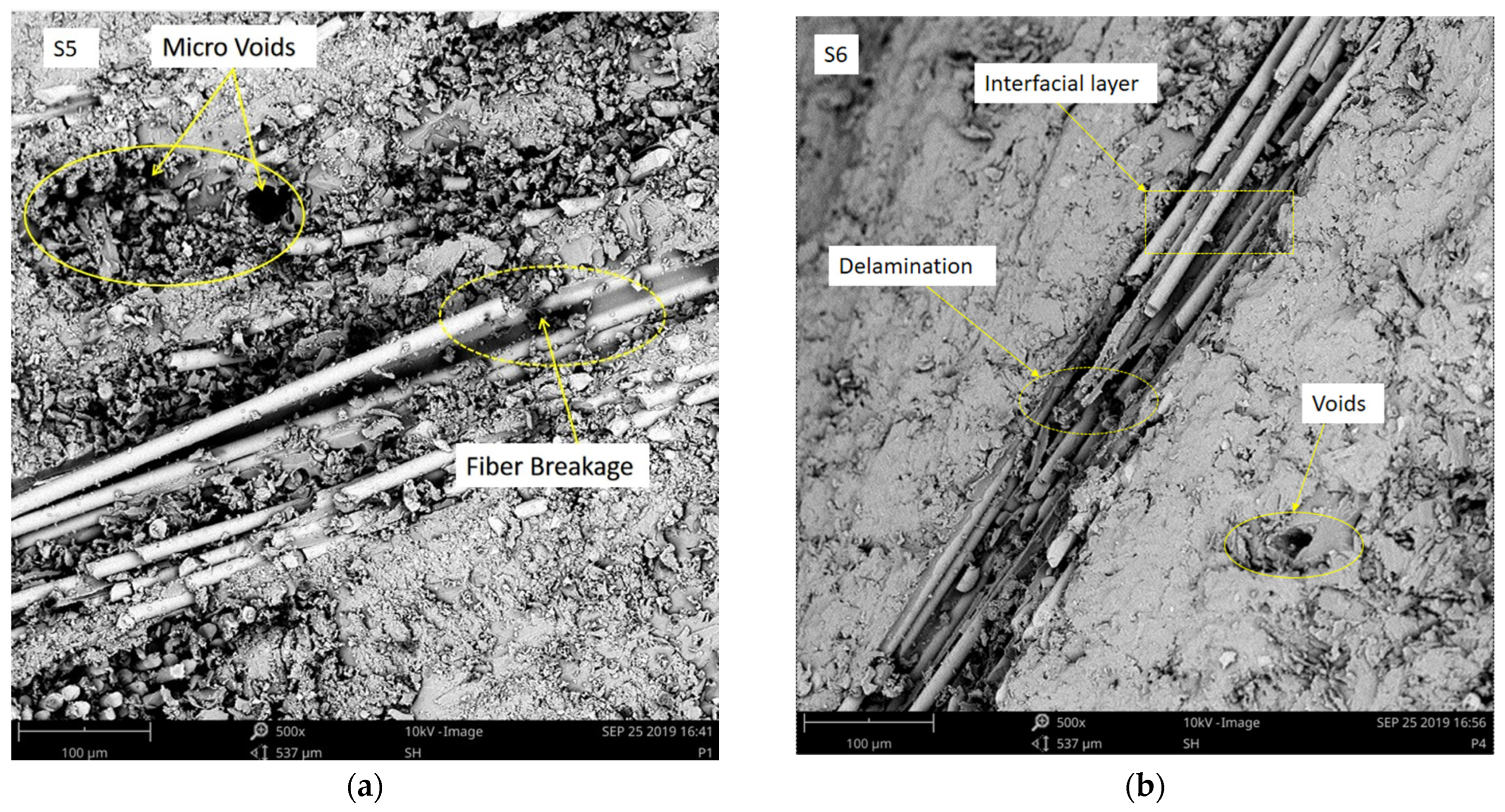 Crystals 13 00415 g007