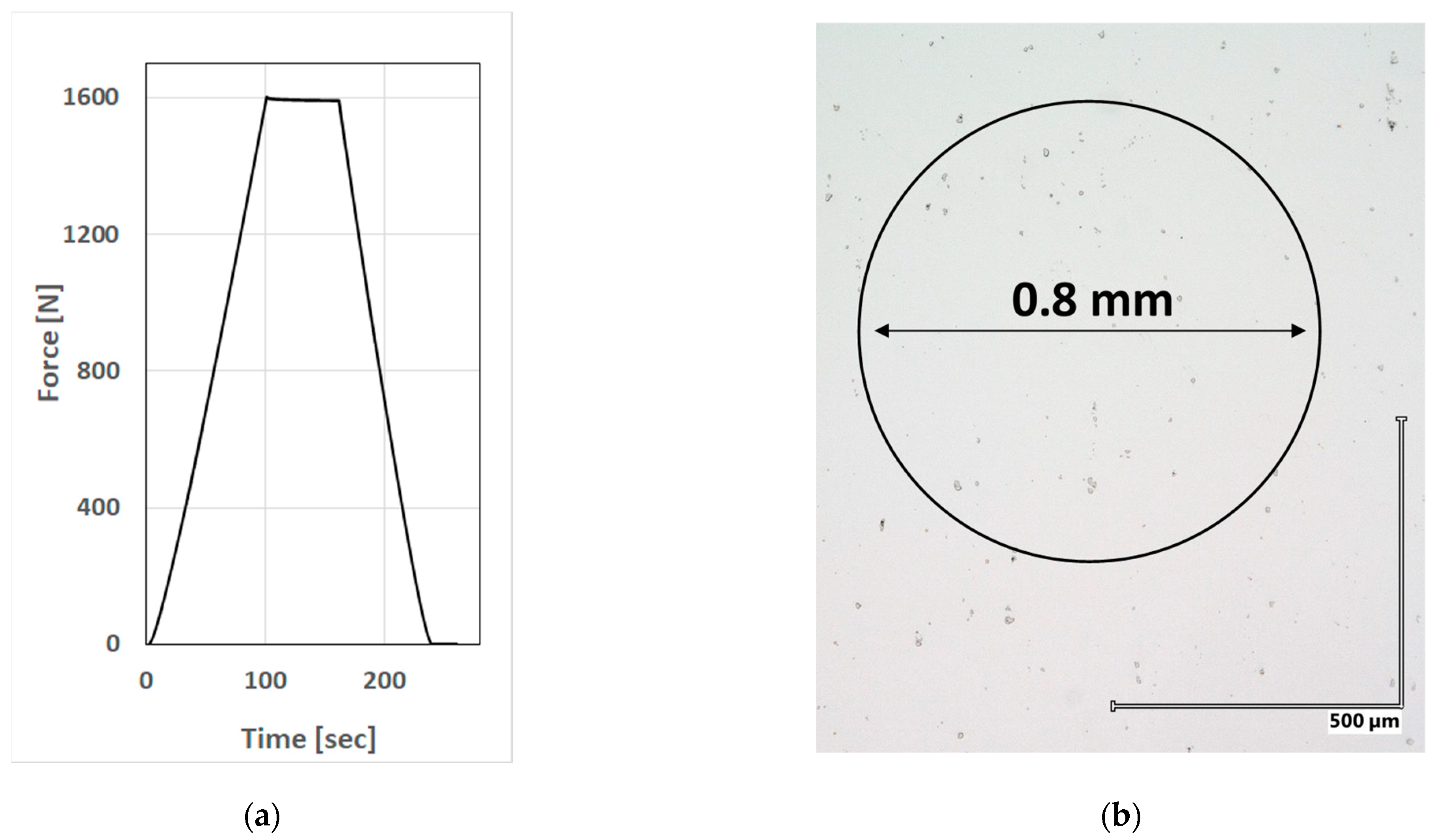 Crystals 13 00429 g004 Crystals 13 00429 g004