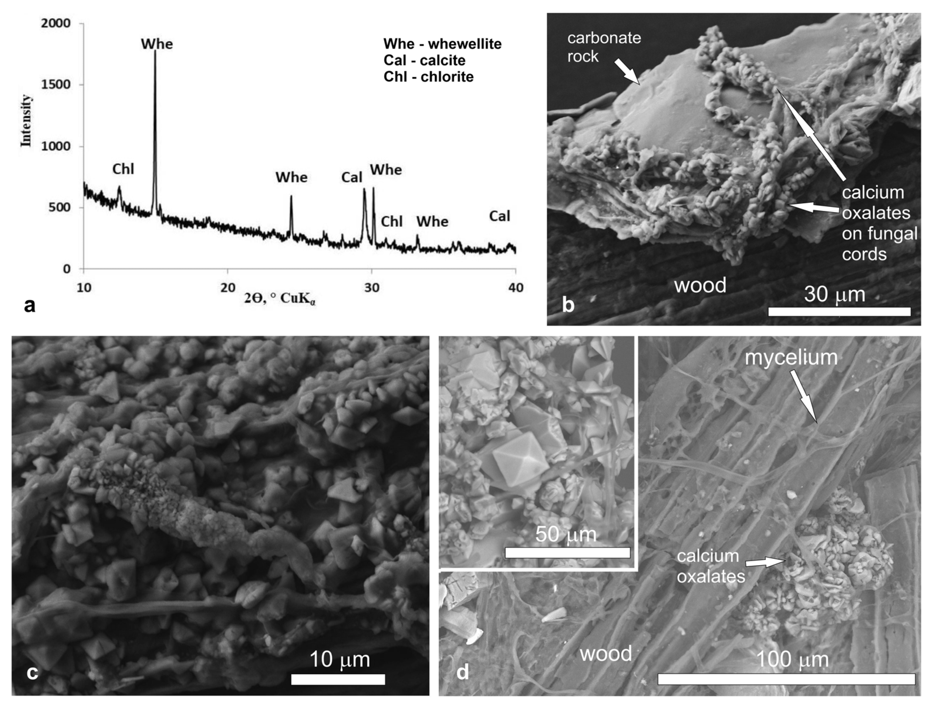 Crystals 13 00432 g002