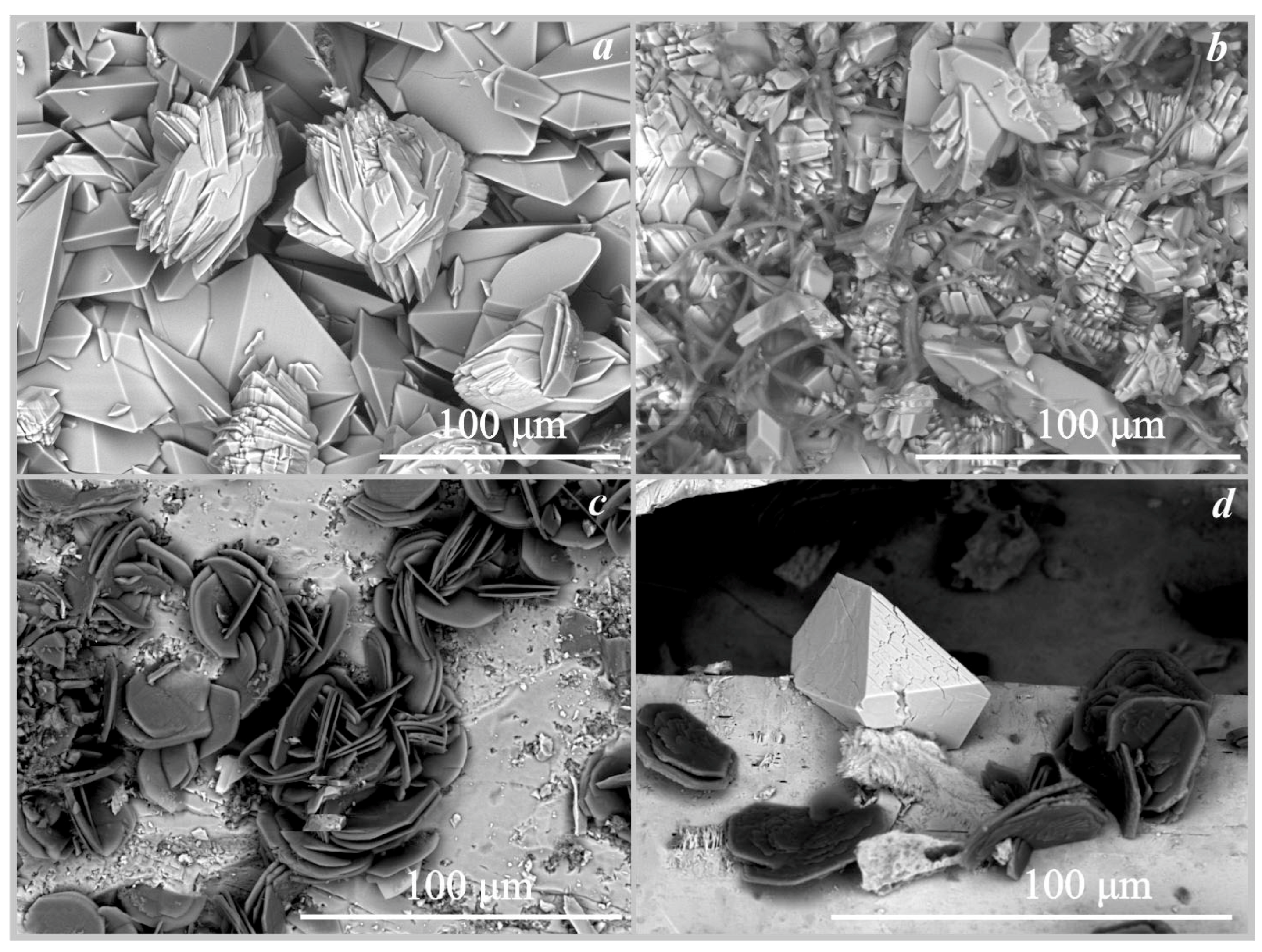 Crystals 13 00432 g005