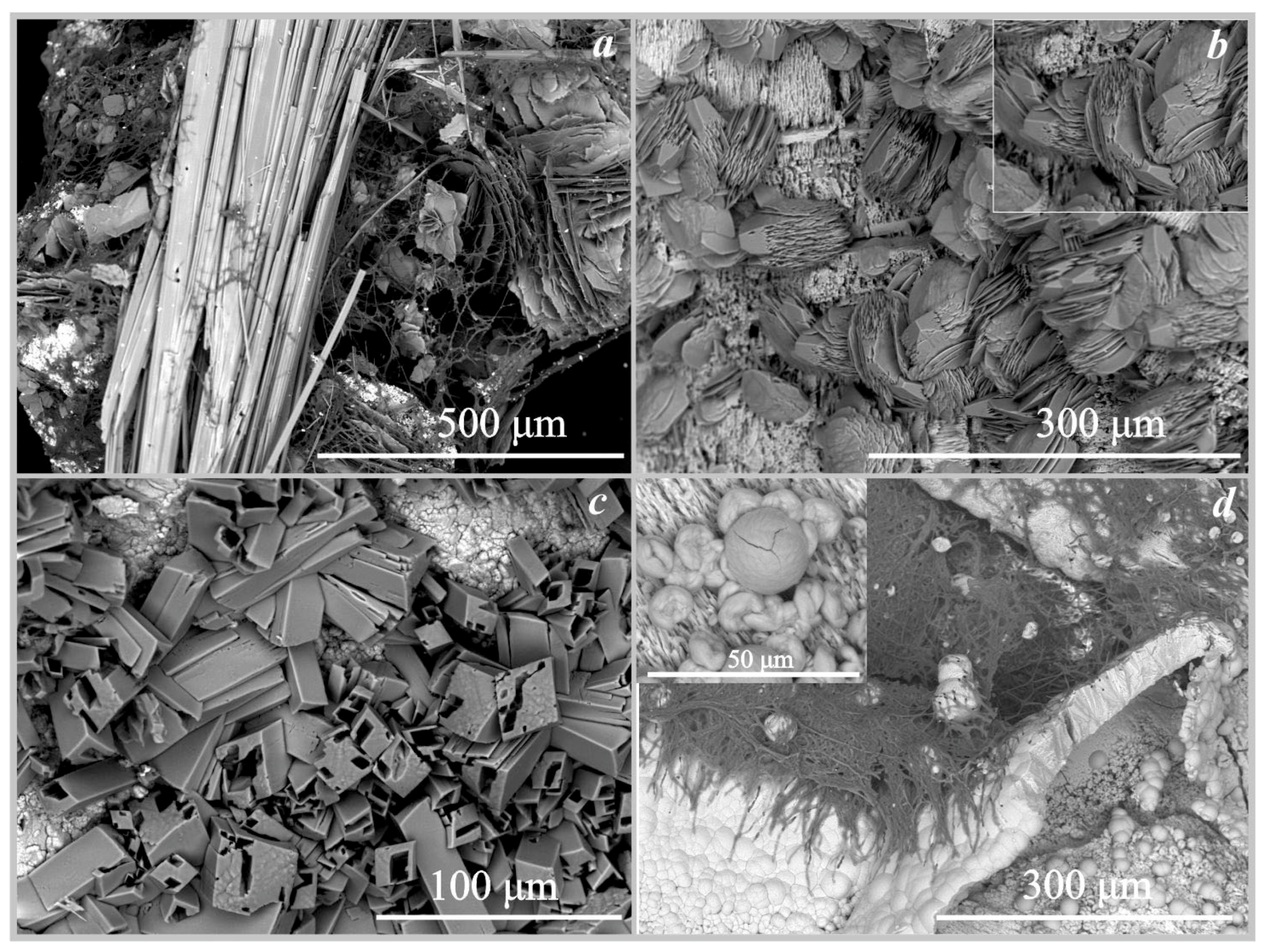 Crystals 13 00432 g006