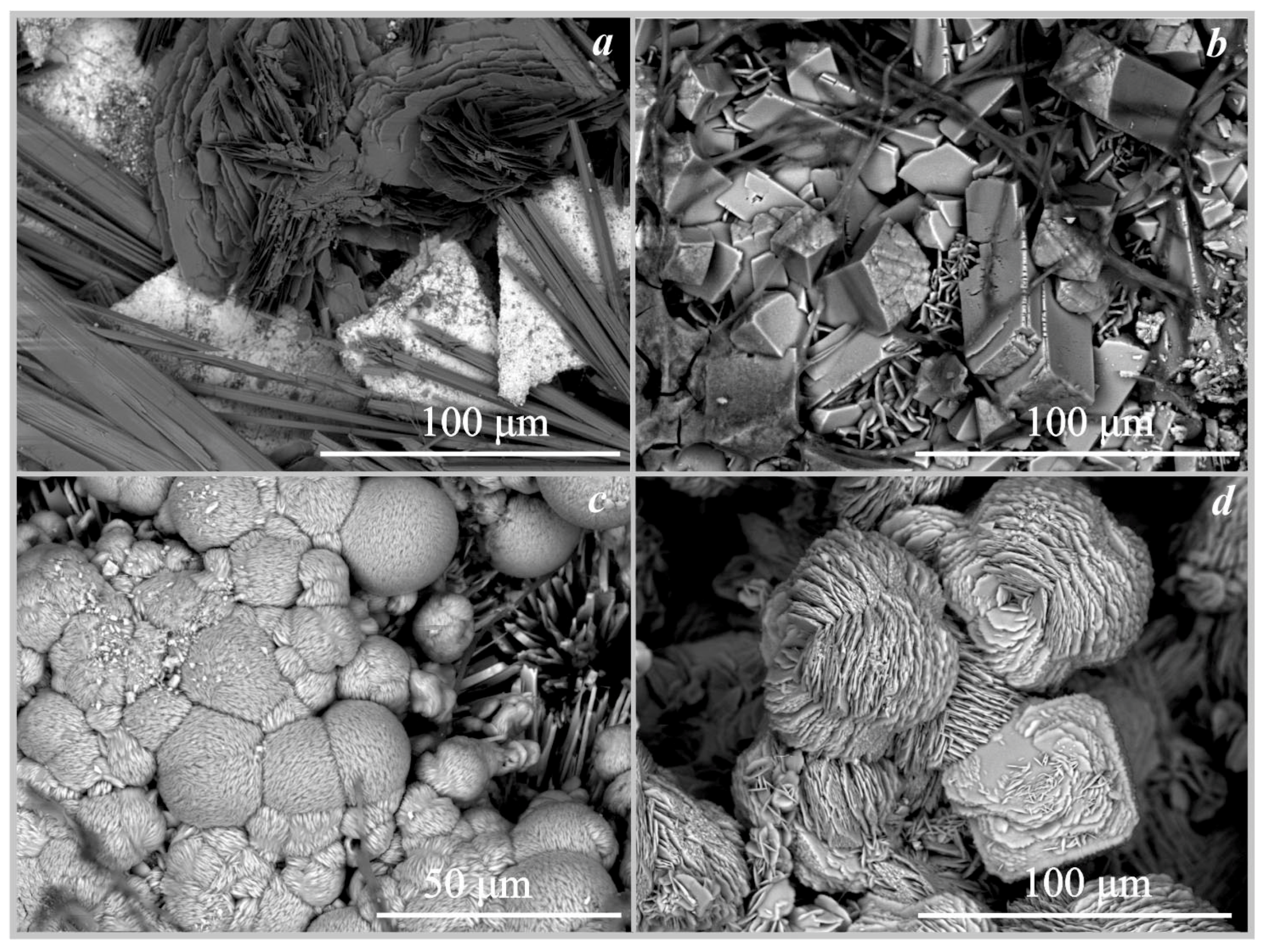 Crystals 13 00432 g007