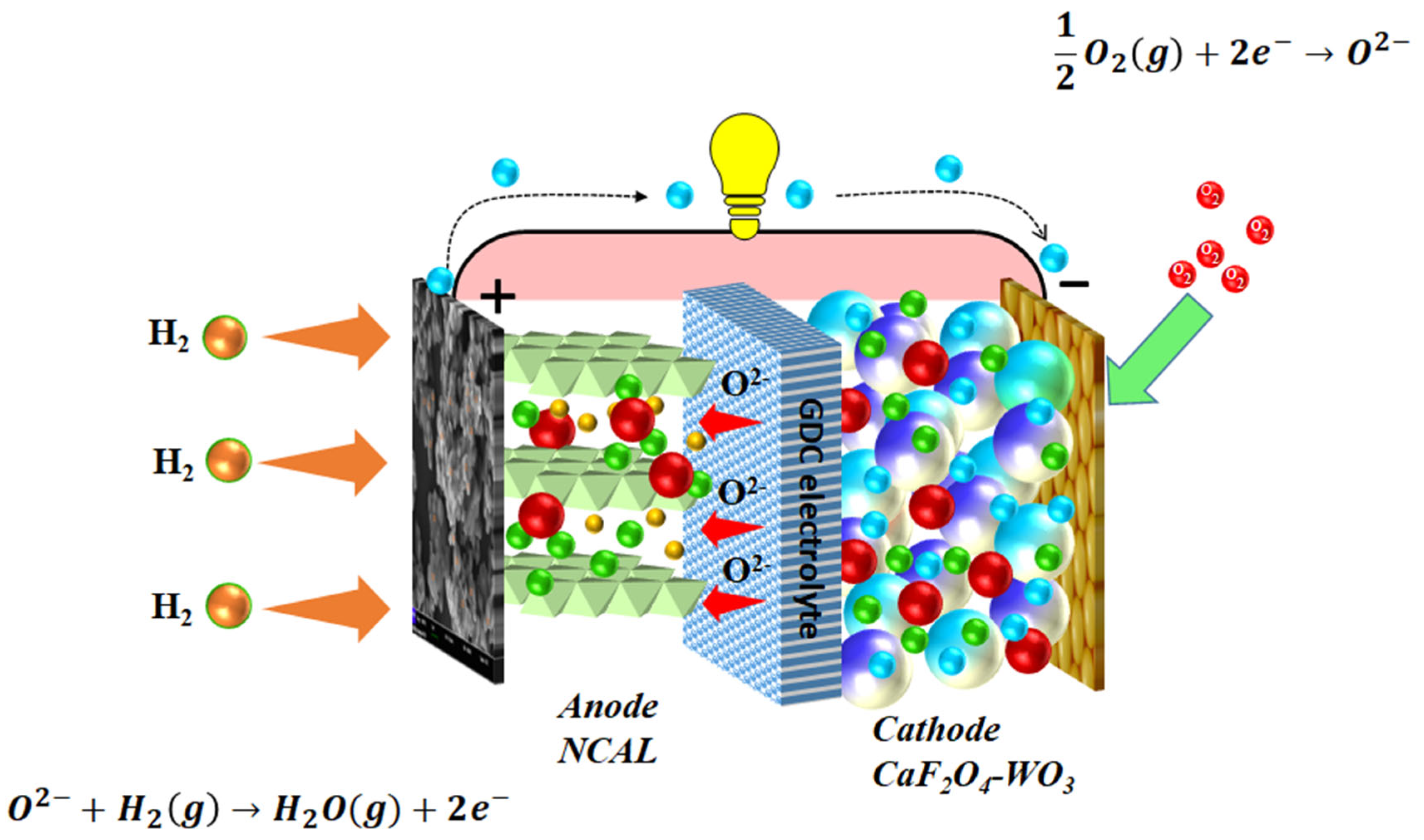 Crystals 13 00444 g007
