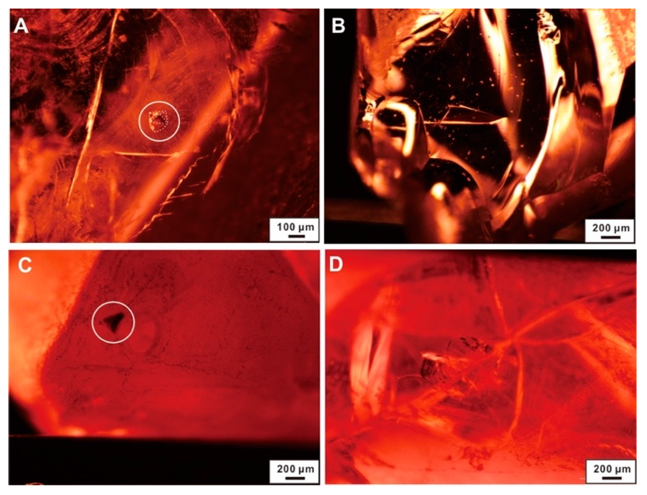 Crystals 13 00447 g005
