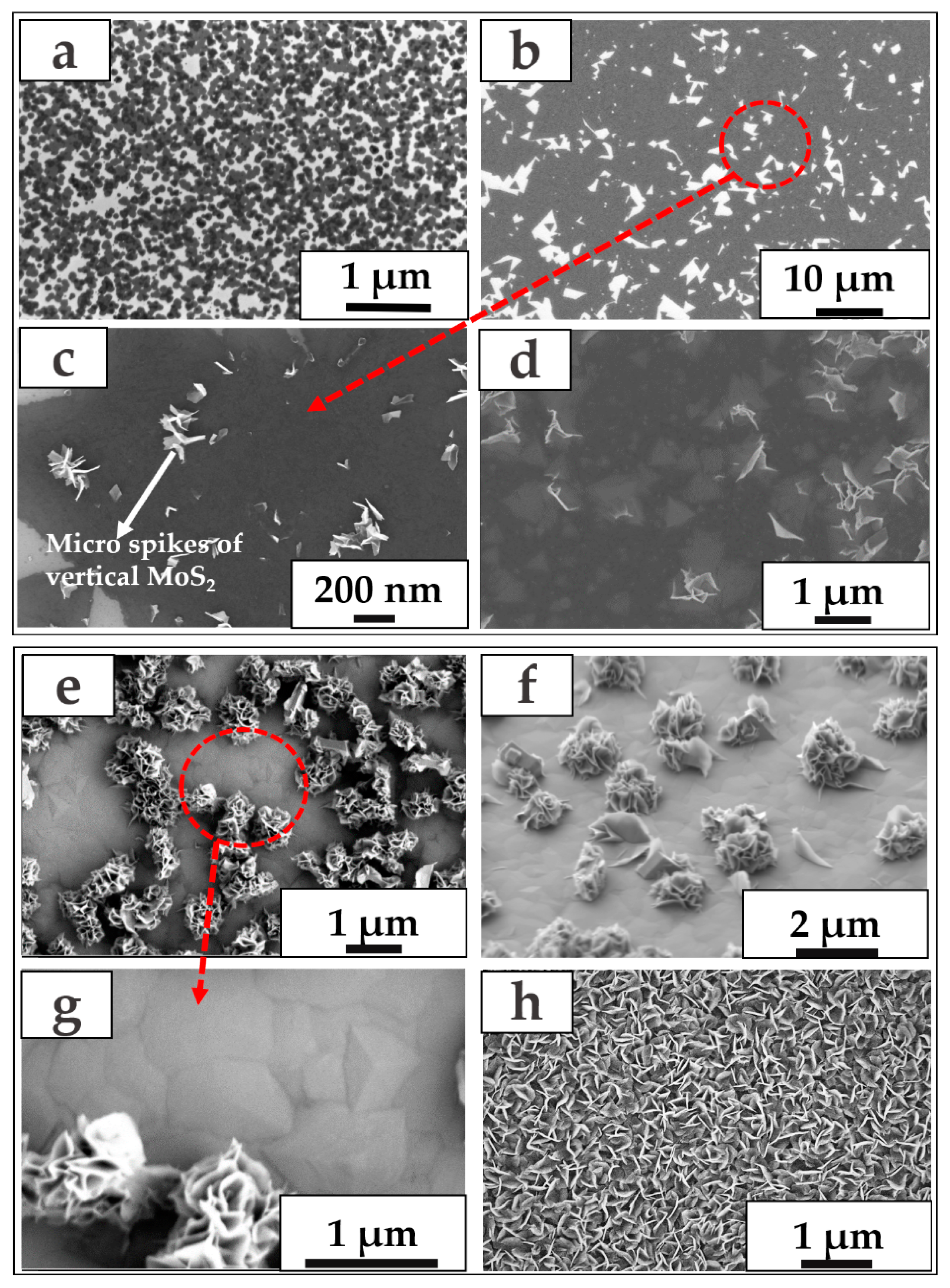 Crystals 13 00448 g004