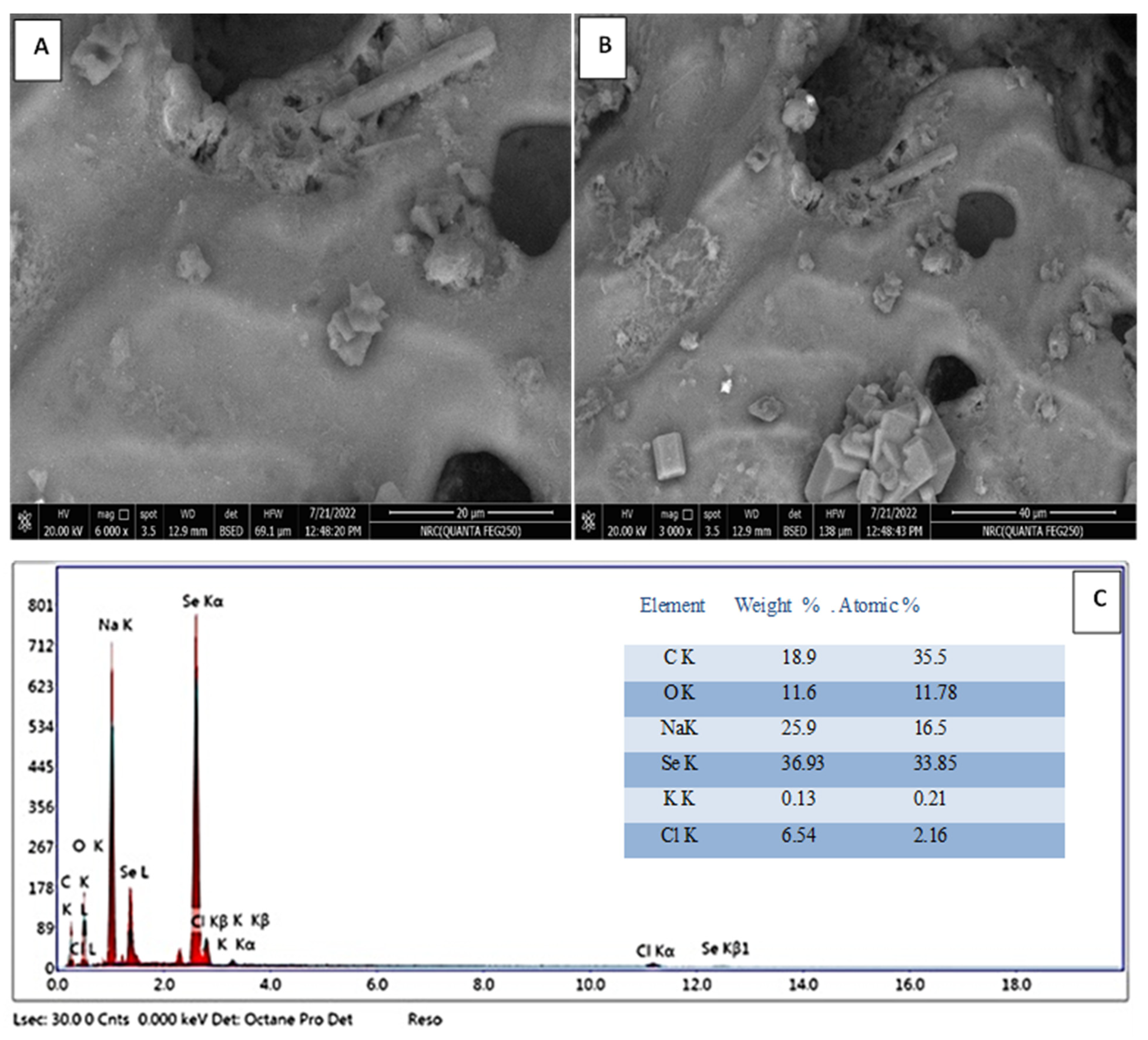 Crystals 13 00450 g006 Crystals 13 00450 g006